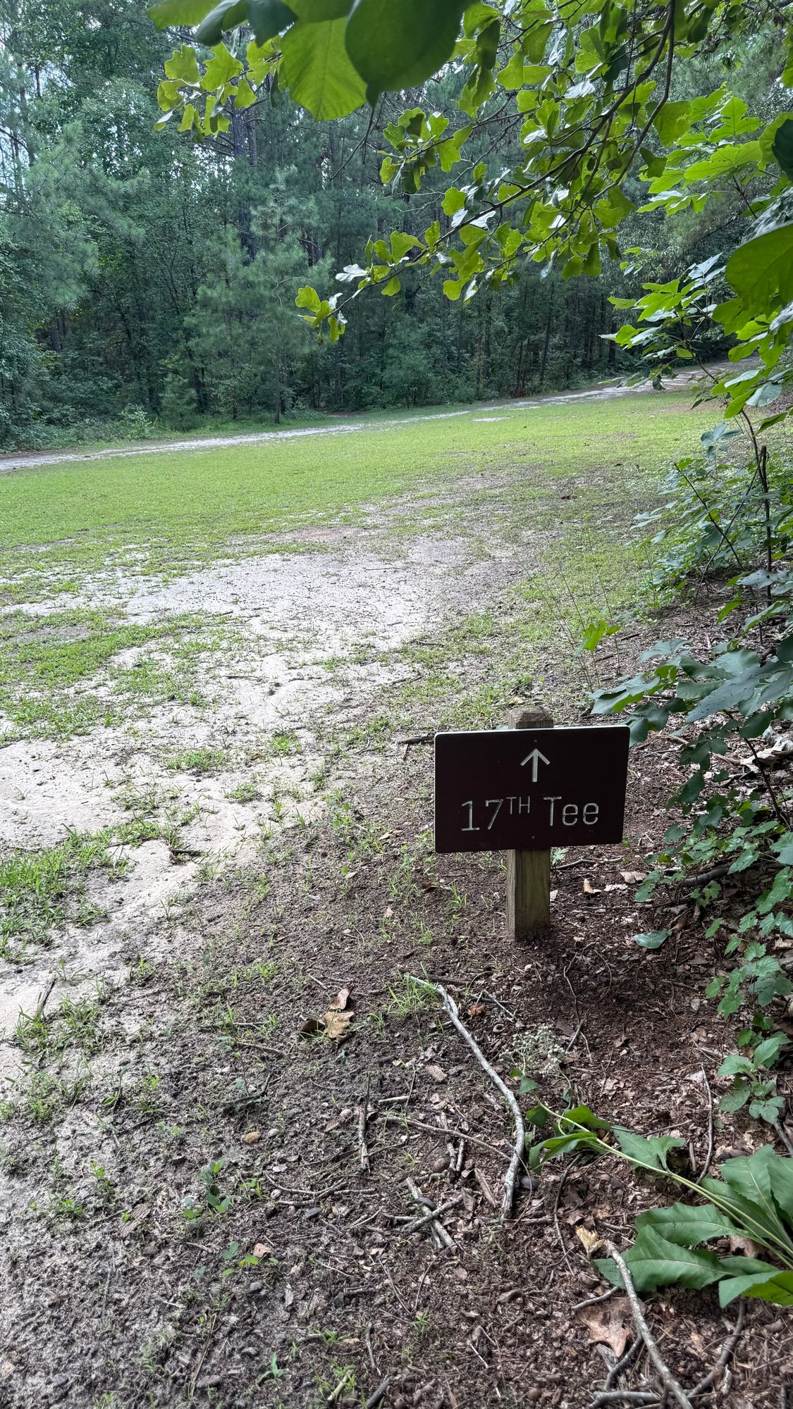 Approach to Hole 17