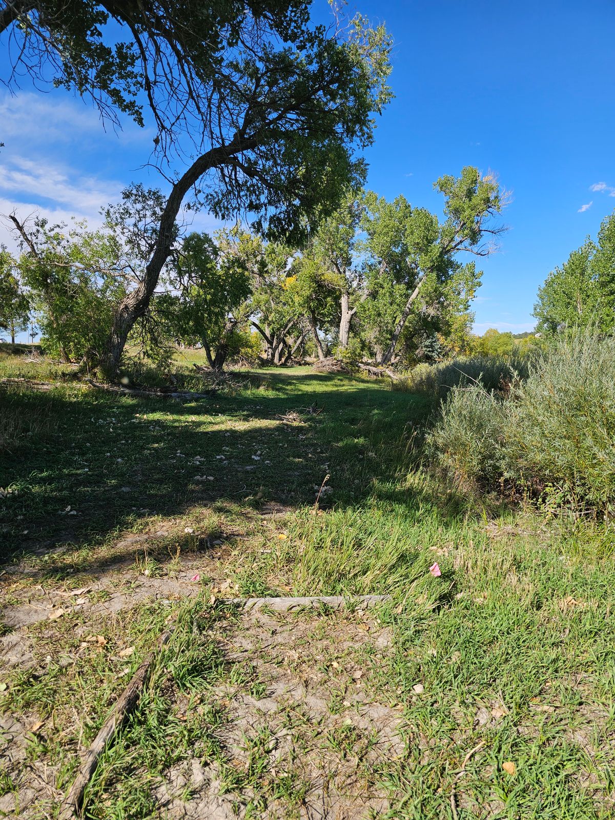 Hole 14