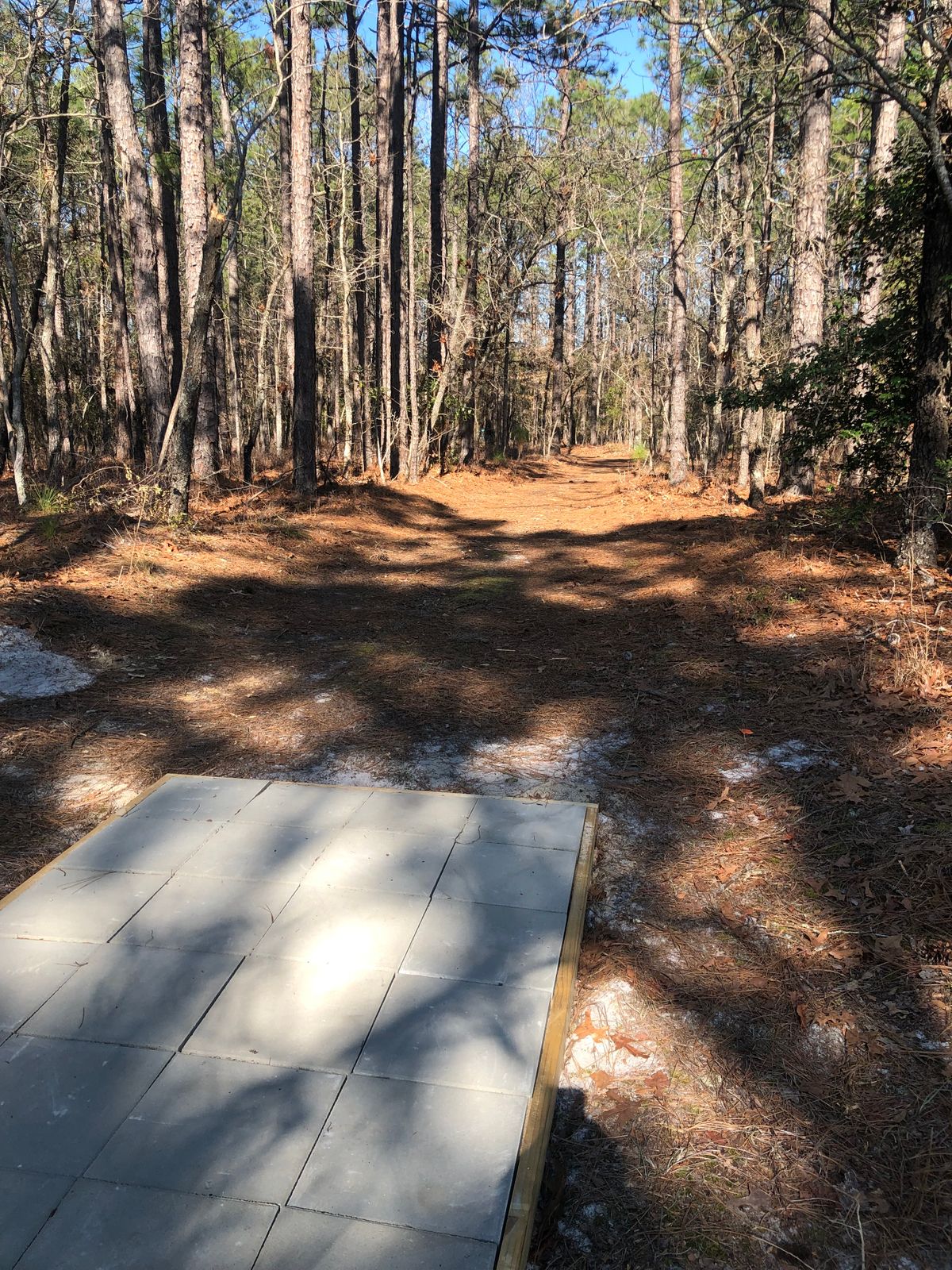 Hole 7. Great hole design. Hyzer to the left. Narrow fairway.