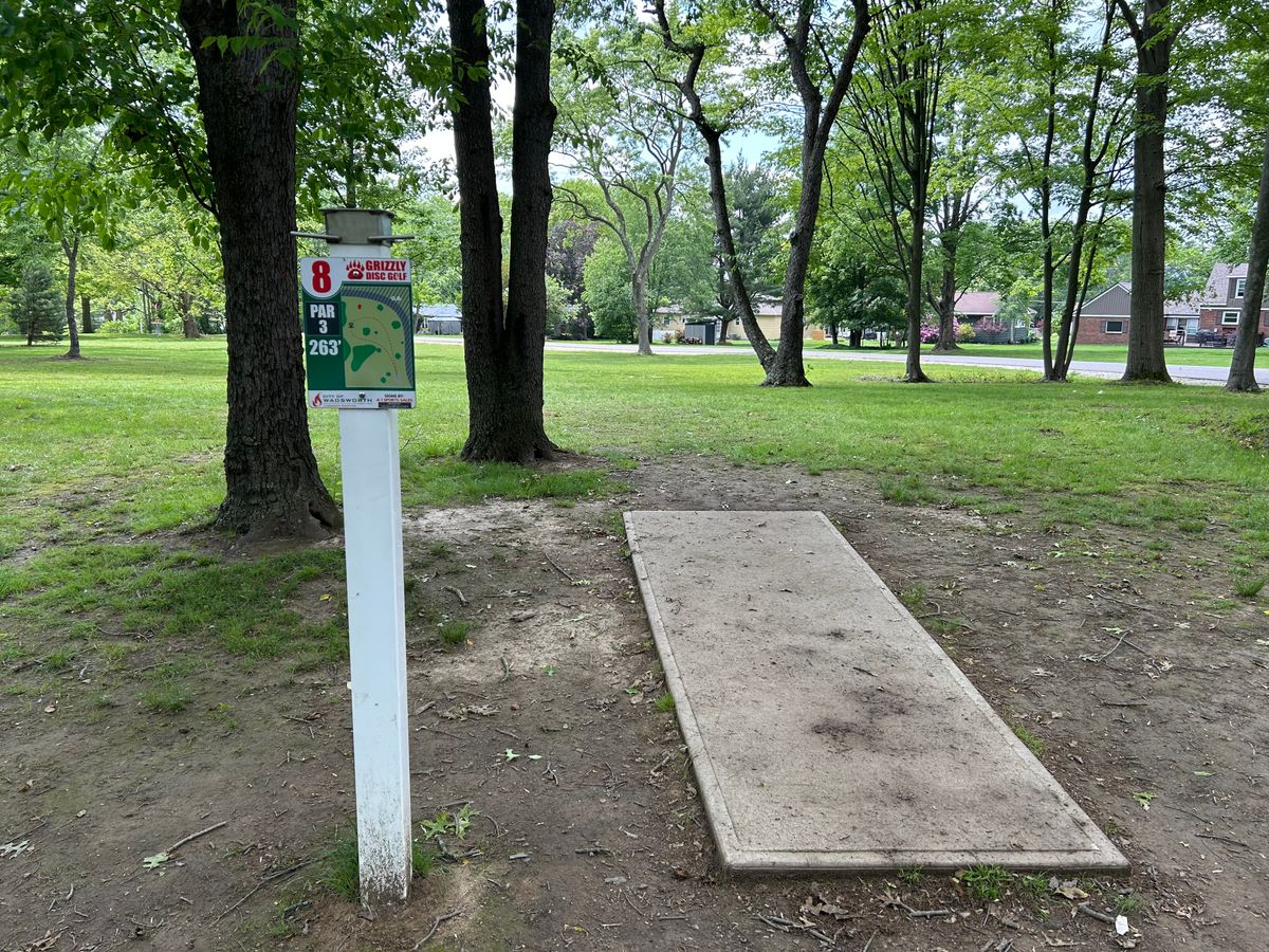 Hole 8 tee