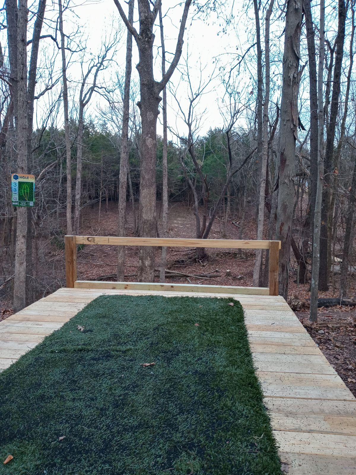 Hole 15