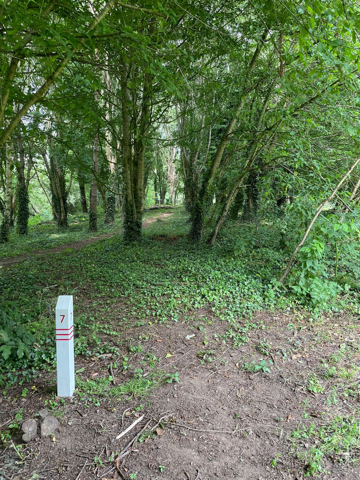 Hole 7 on the short/red course is a beaut. Nice and technical.