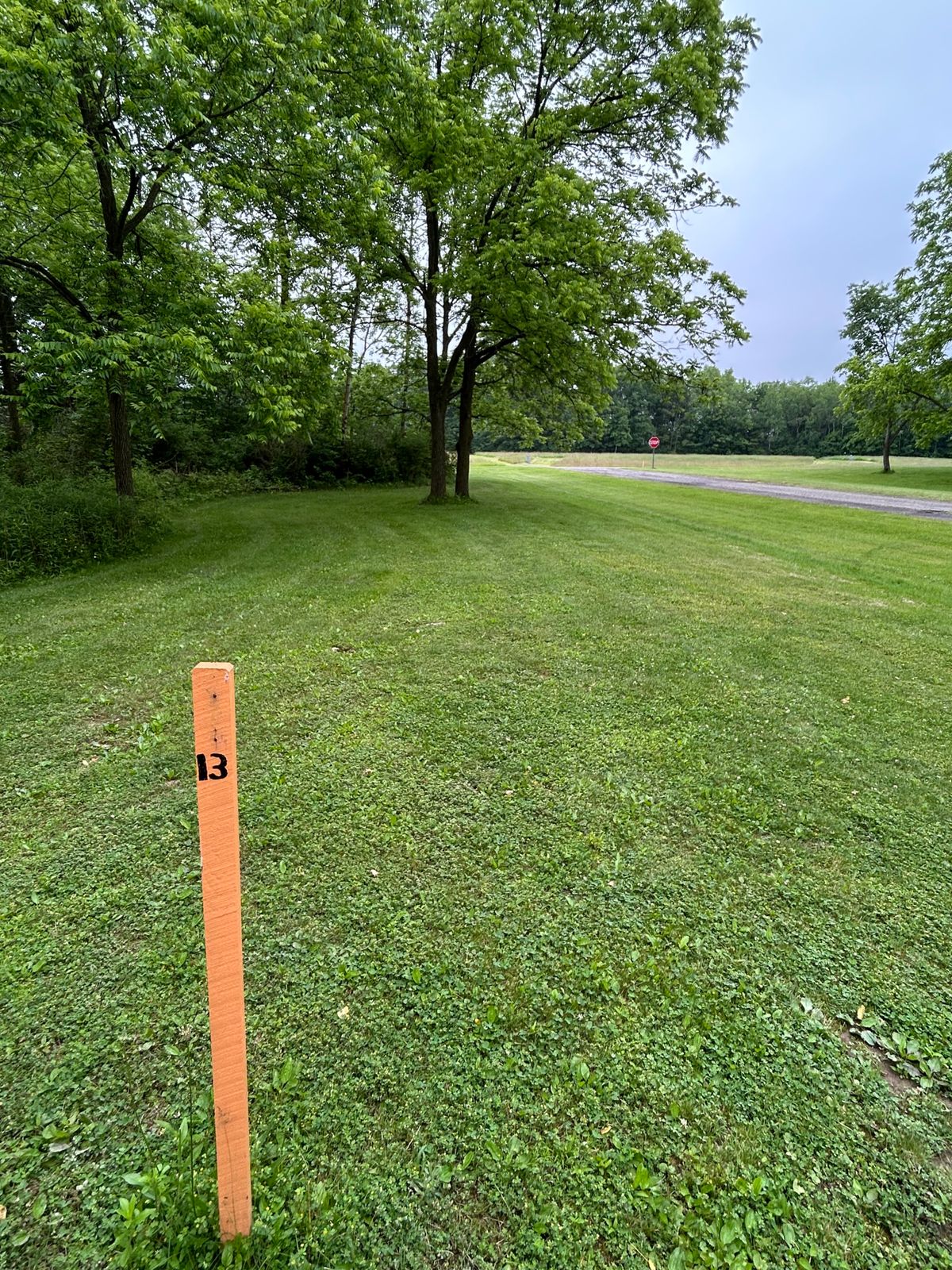 Hole 13 tee.  Basket is beyond the tree line.  Another blind shot.