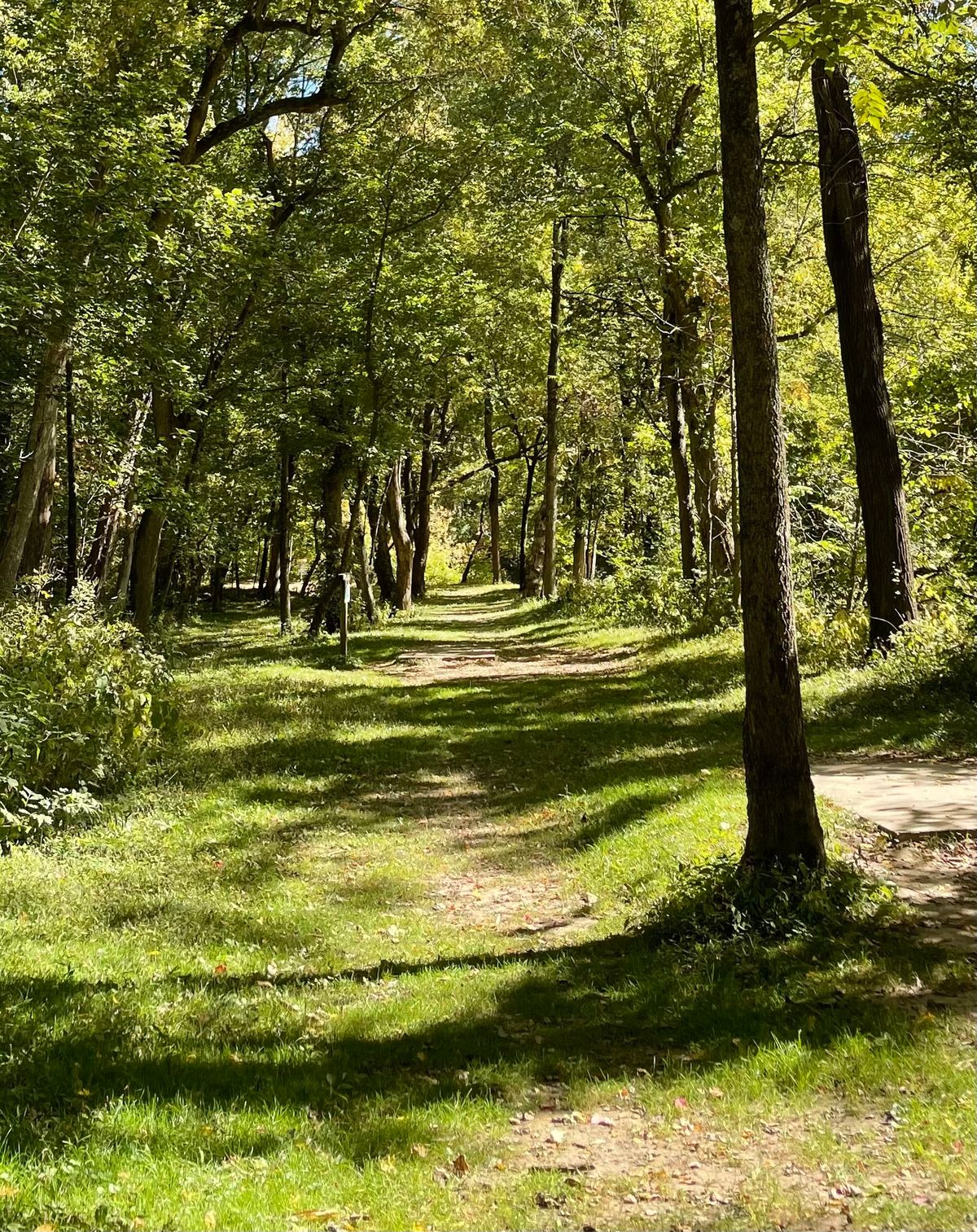 Hole 13 Blue