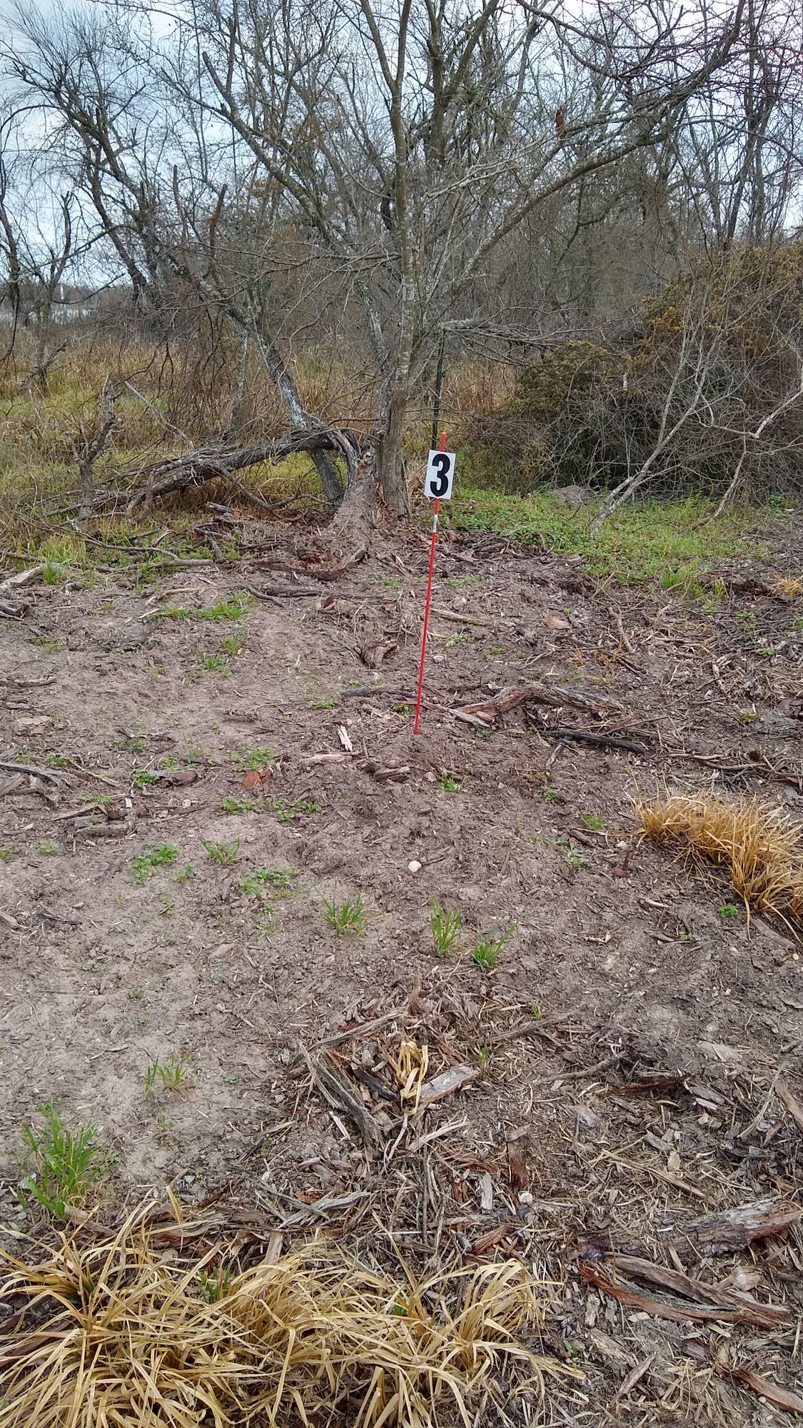 Temp for hole 3