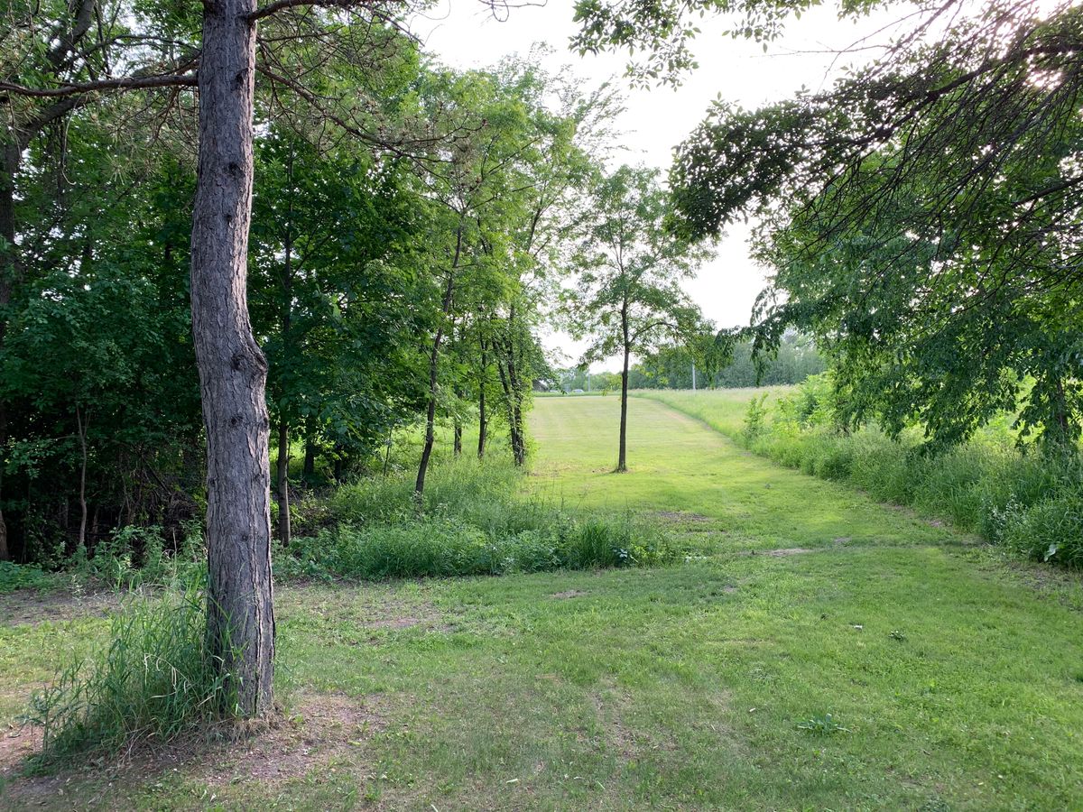 15 fairway (2)
