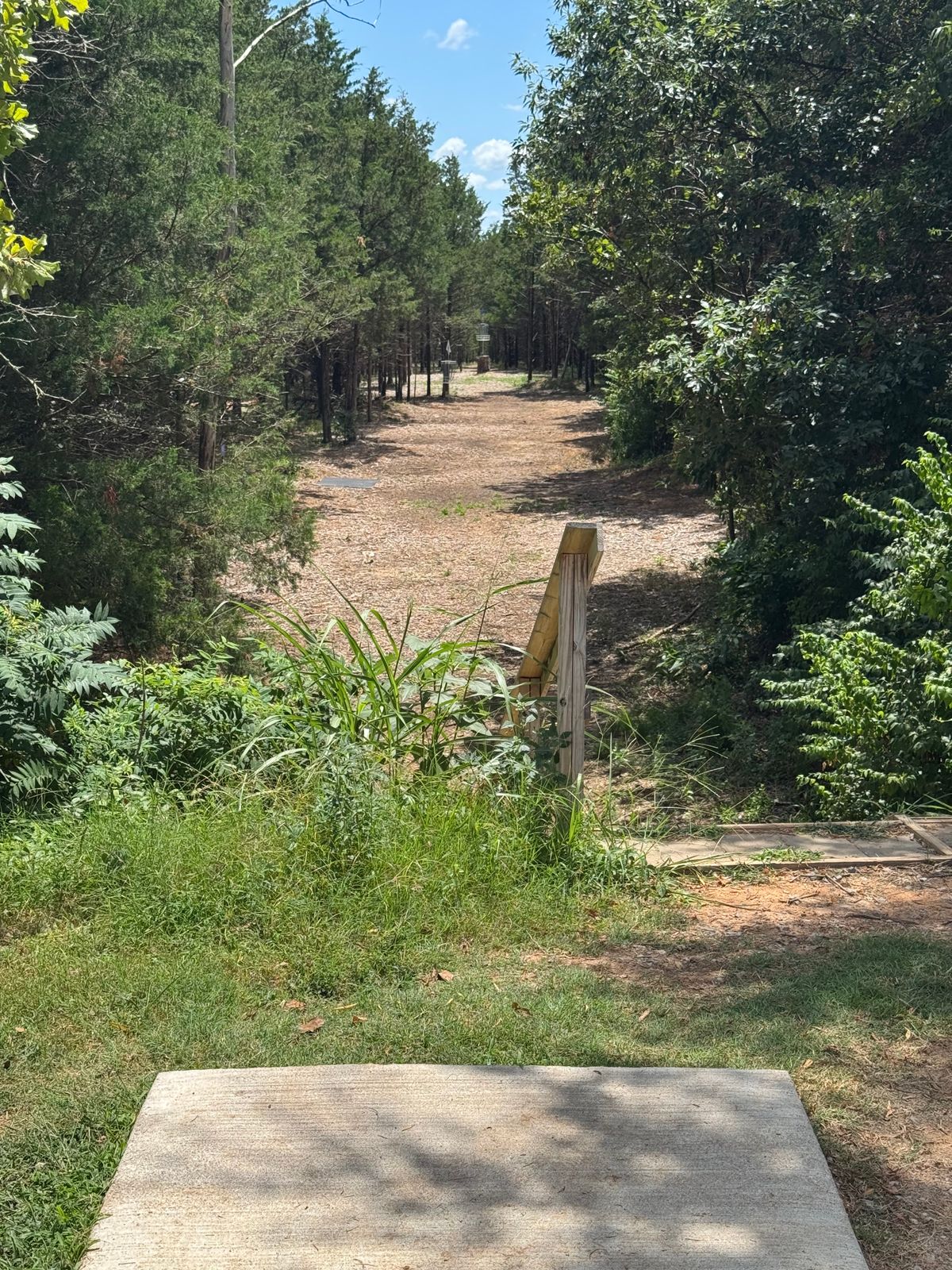 #10 tee
