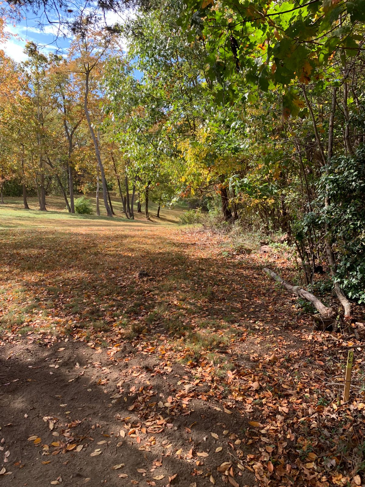 Hole 6