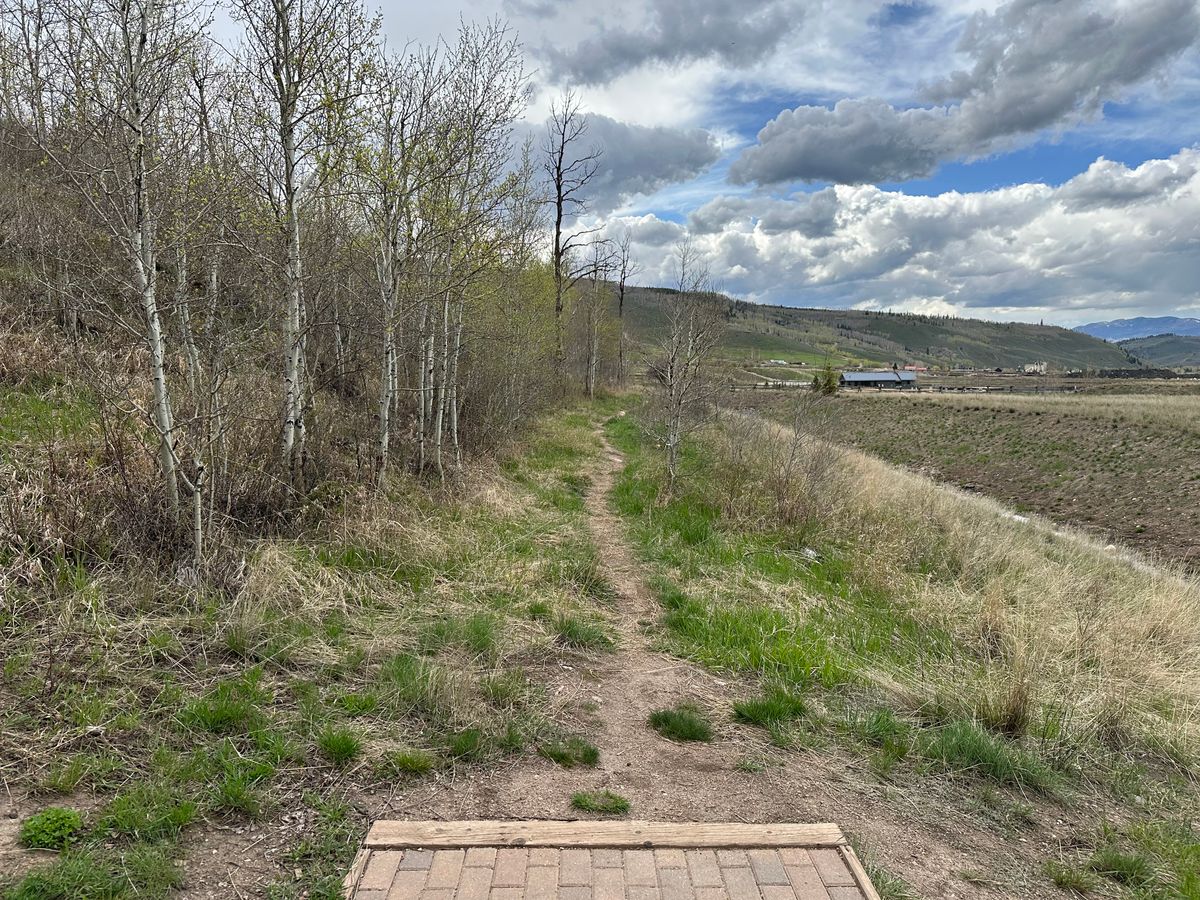 Hole 8 Tee