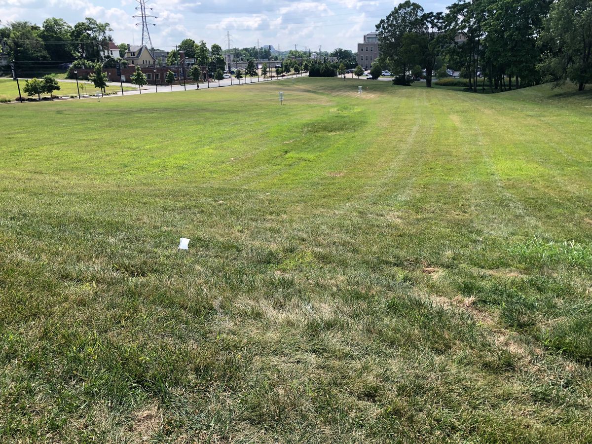 Hole 14 tee