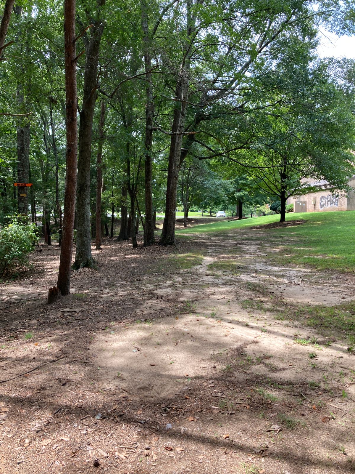 Hole 18 - Mouth of initial tunnel shot - Mando right of left side tree