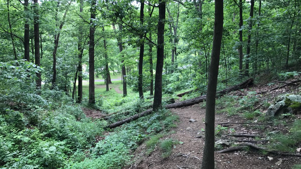 Hole 10