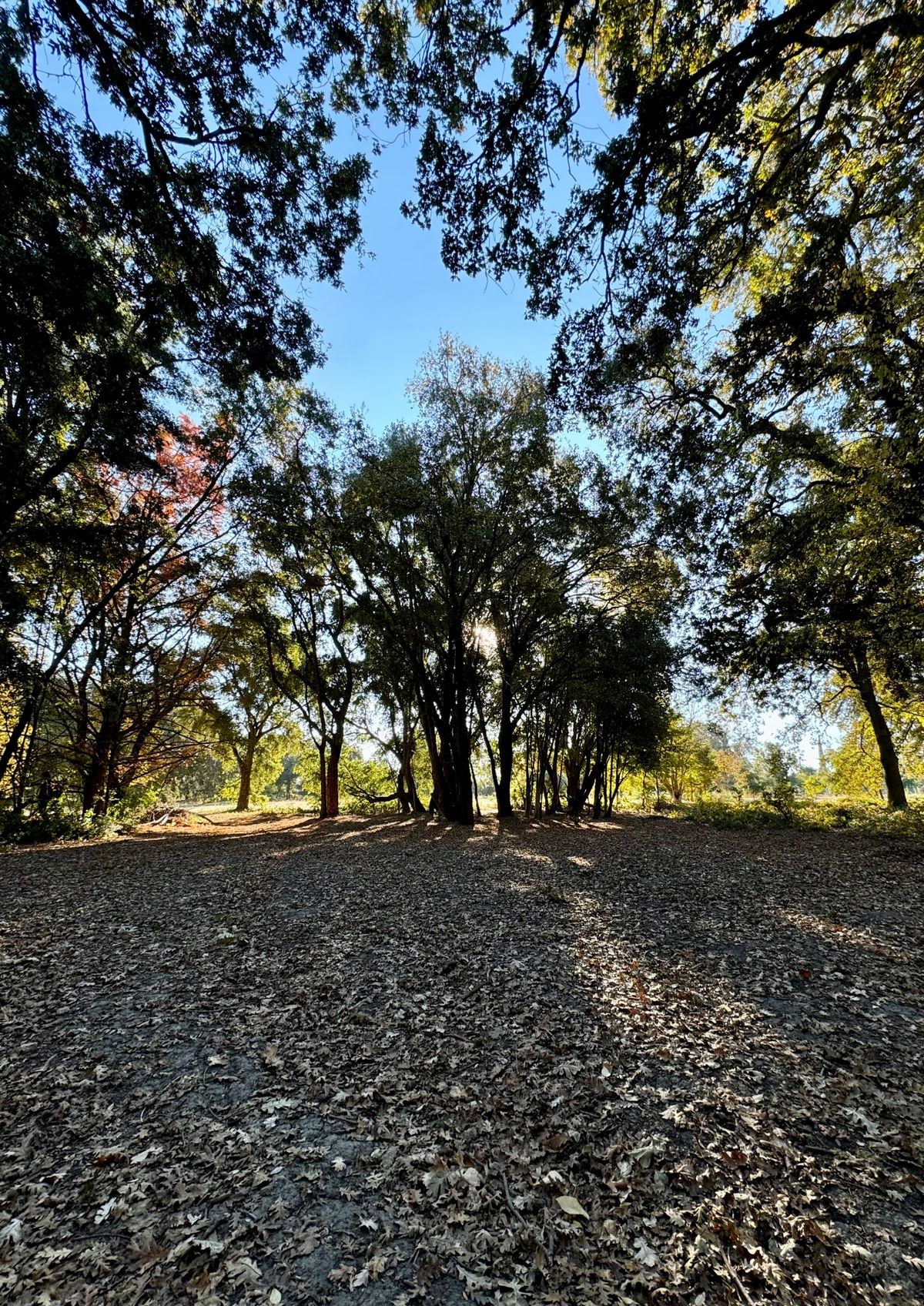 Hole 7 in fall.