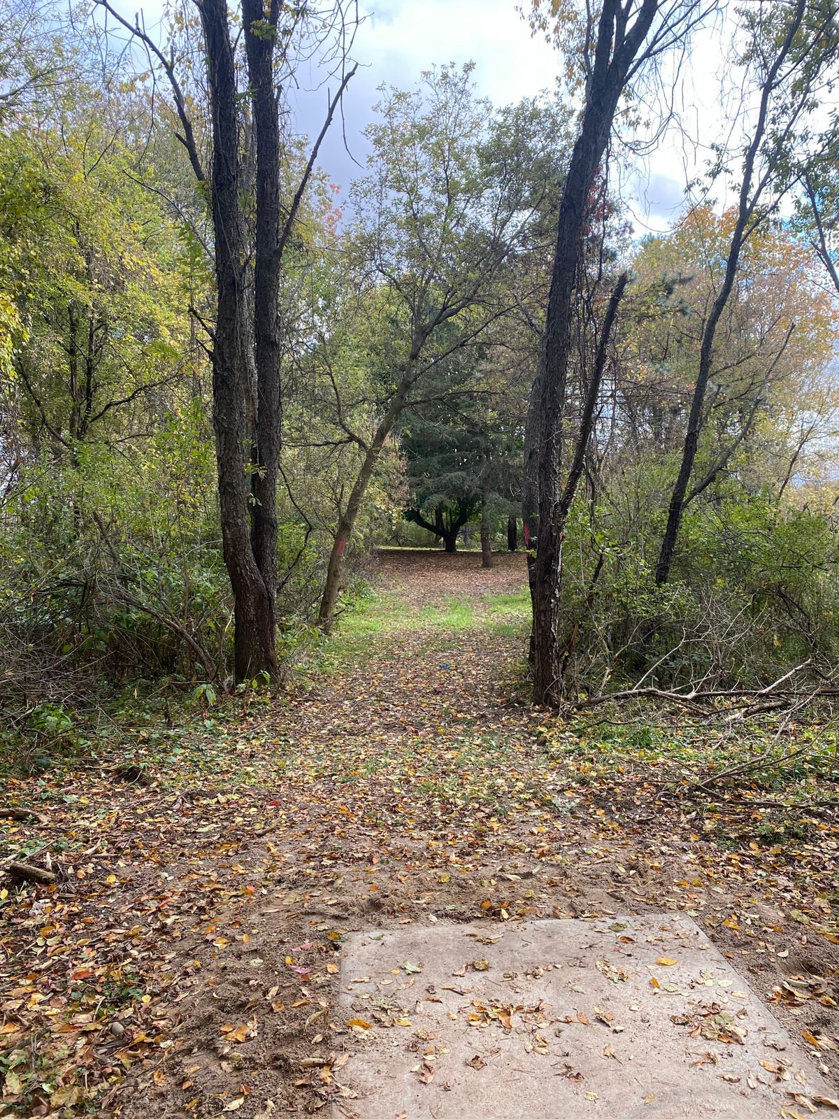 Hole 6 Tee shot