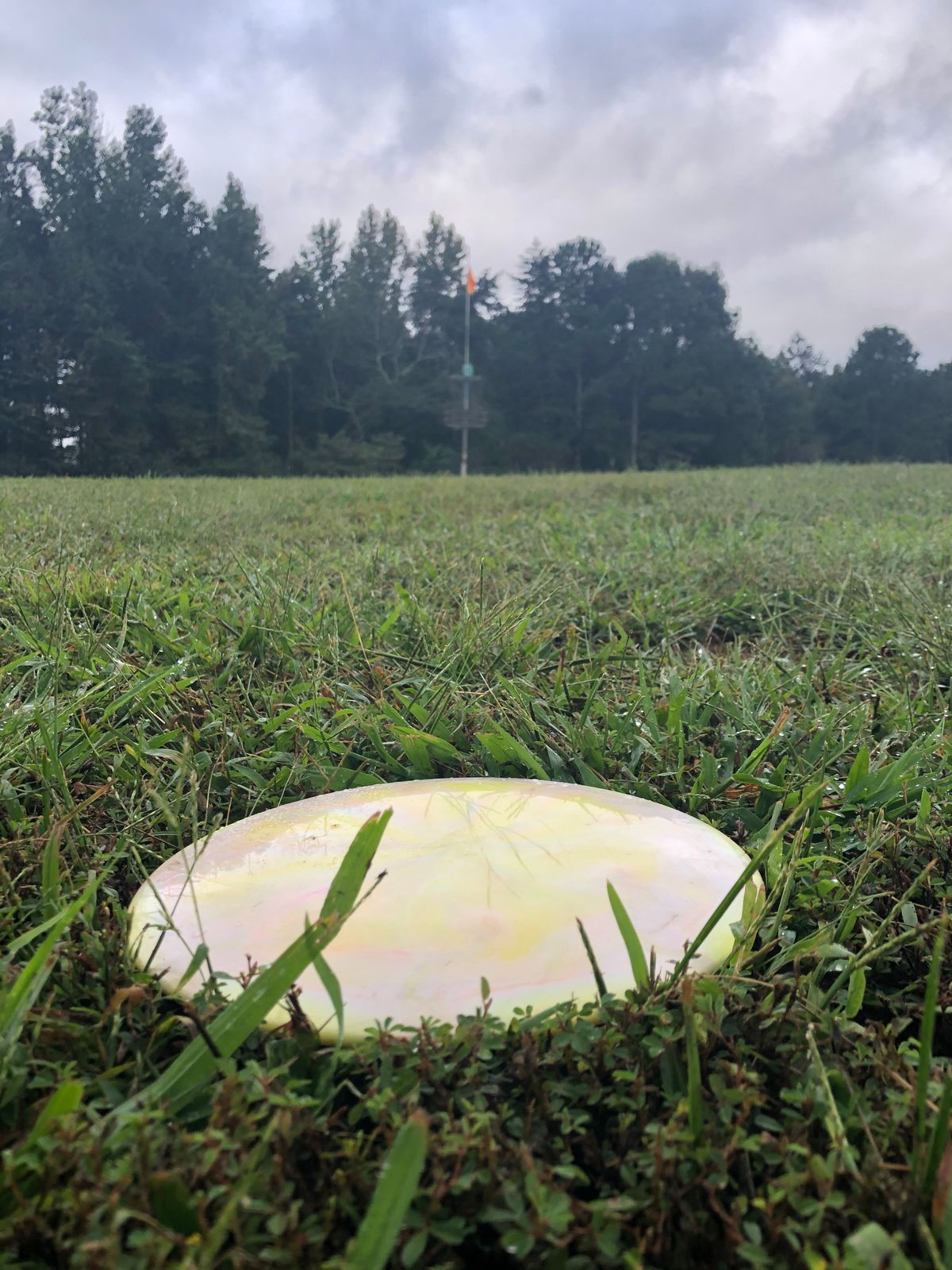 Hole 4 - elevated basket