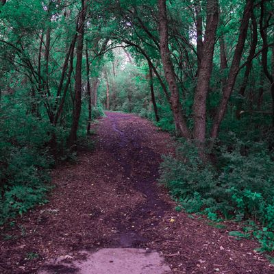 Hole 3 tee