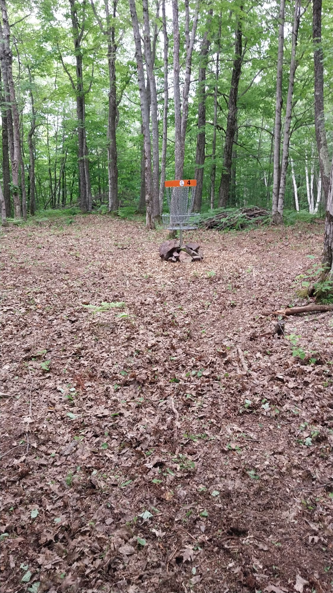 Hole 4 long