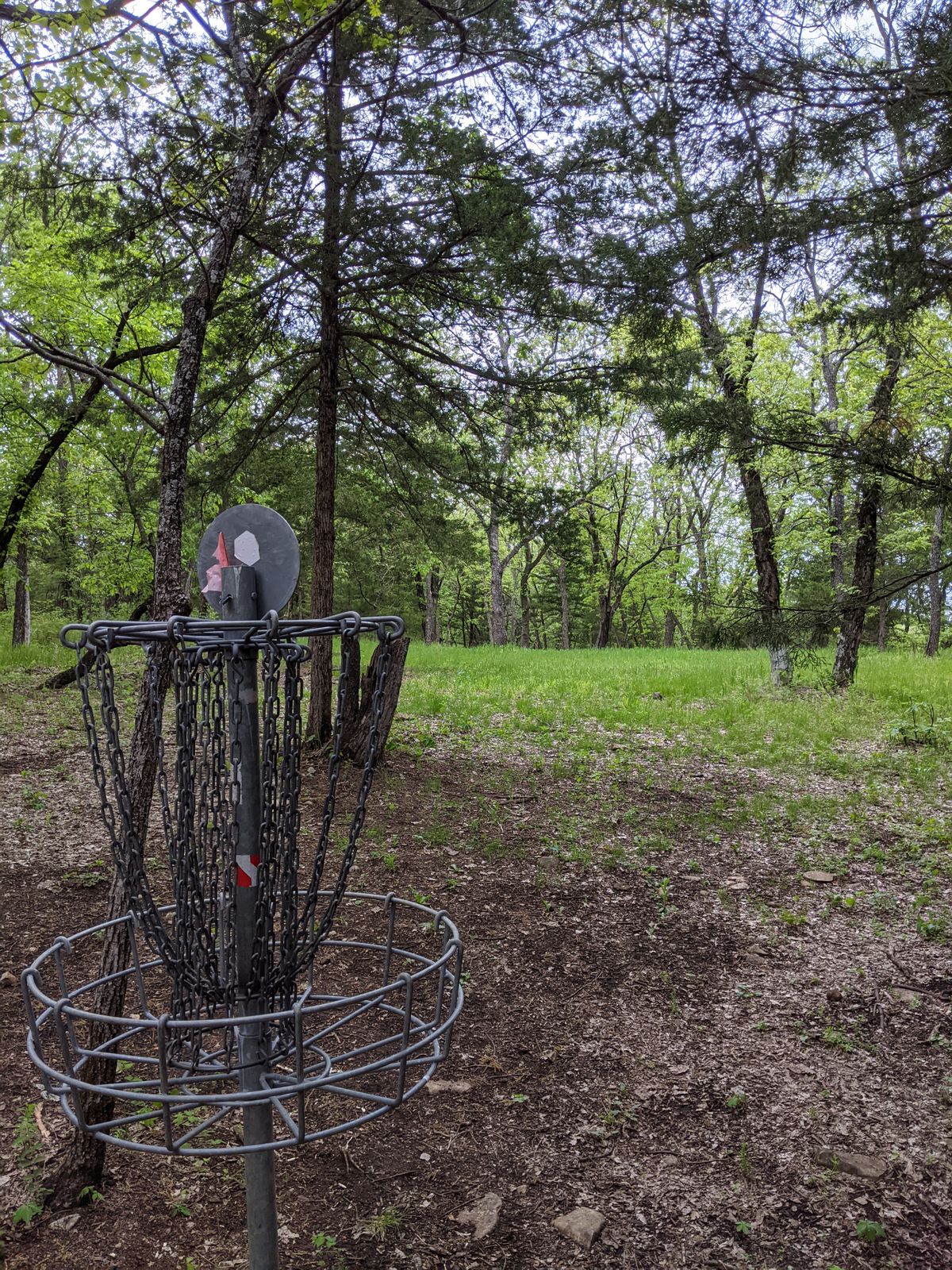 Basket 12 to fairway