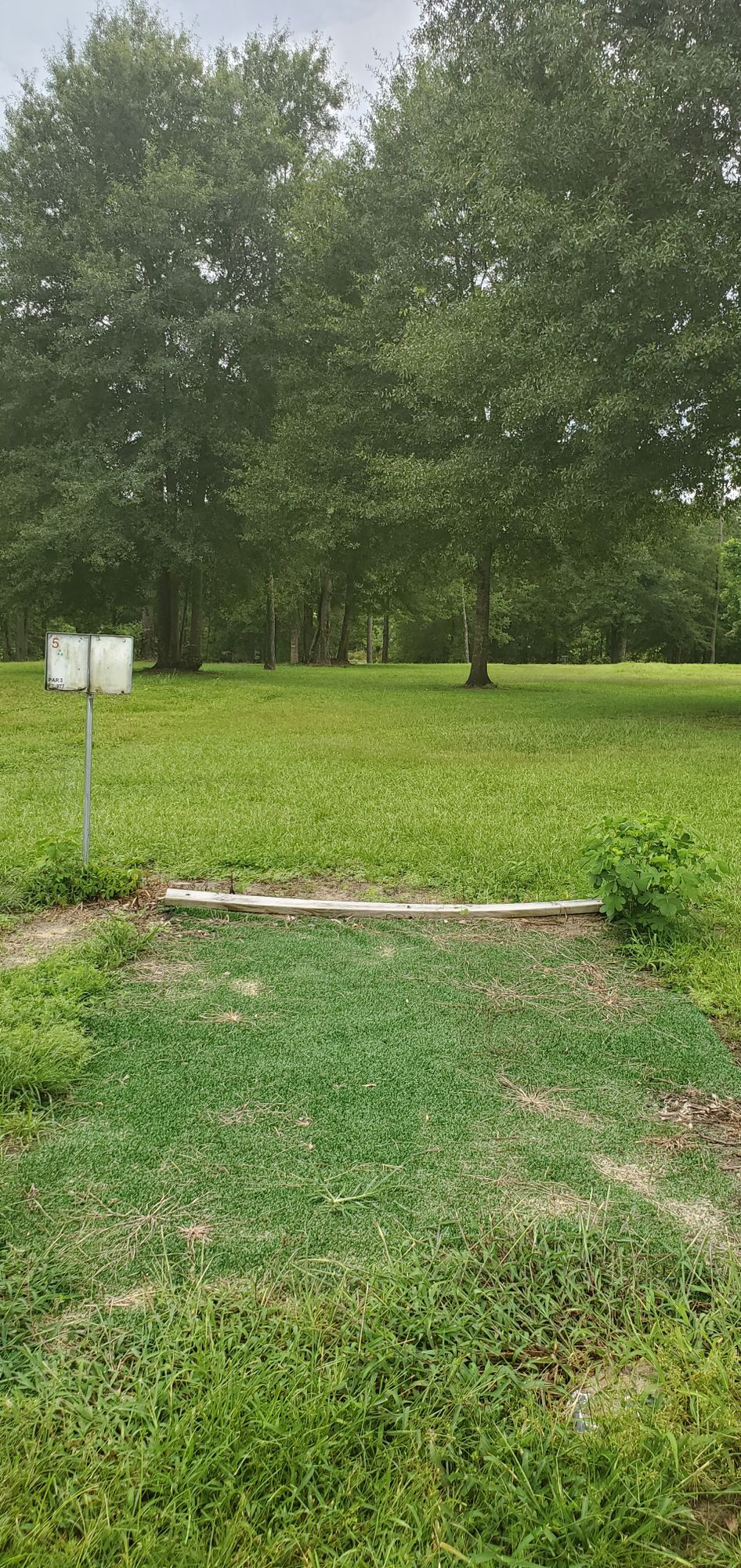 Tee #5