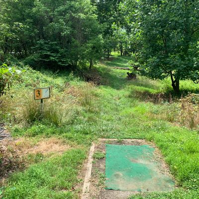 Hole 3 tee. Par 3. Basket is slightly to the right. Fairway opens once passing tree to the right.