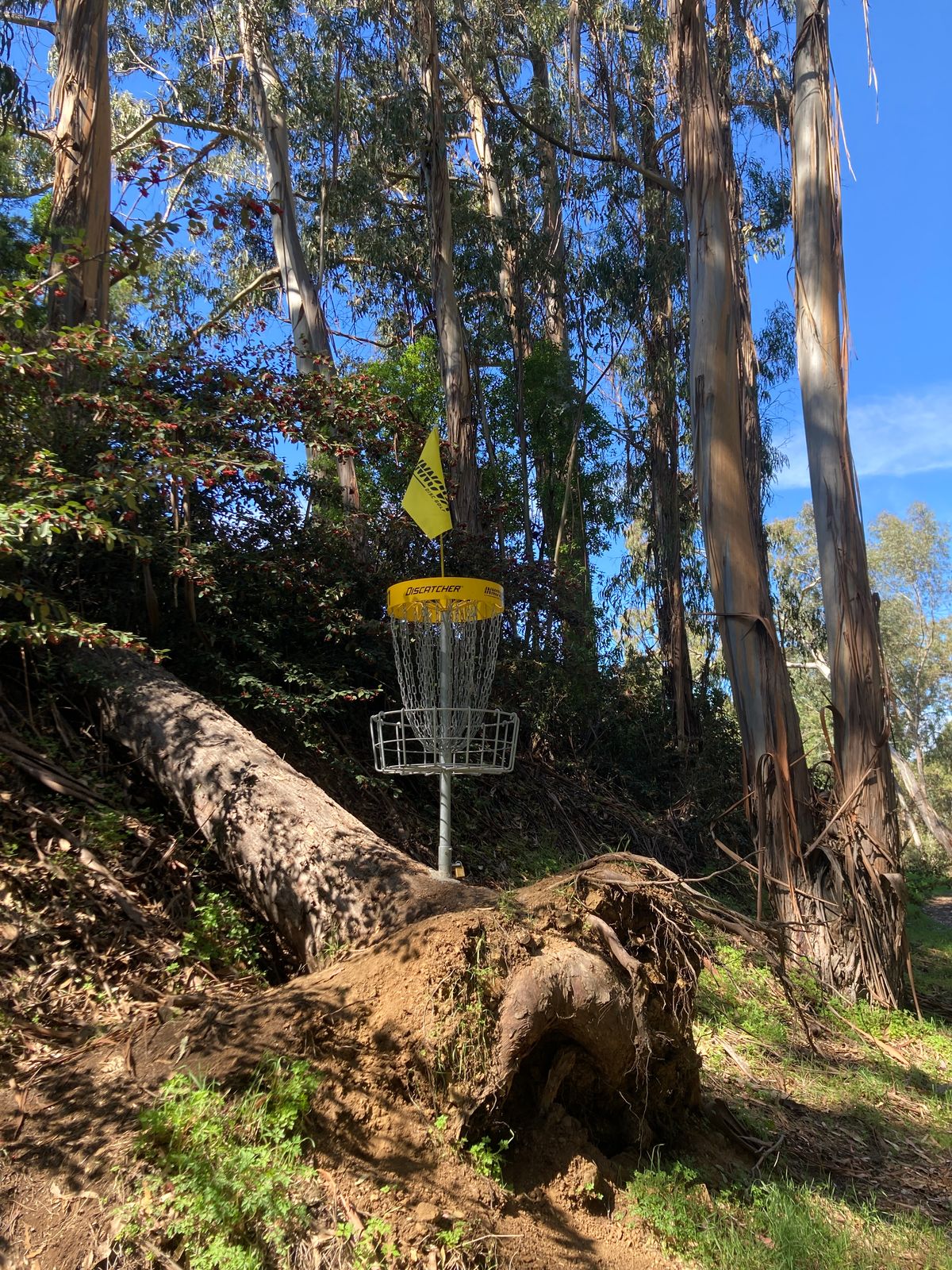 Hole 3 gold basket.