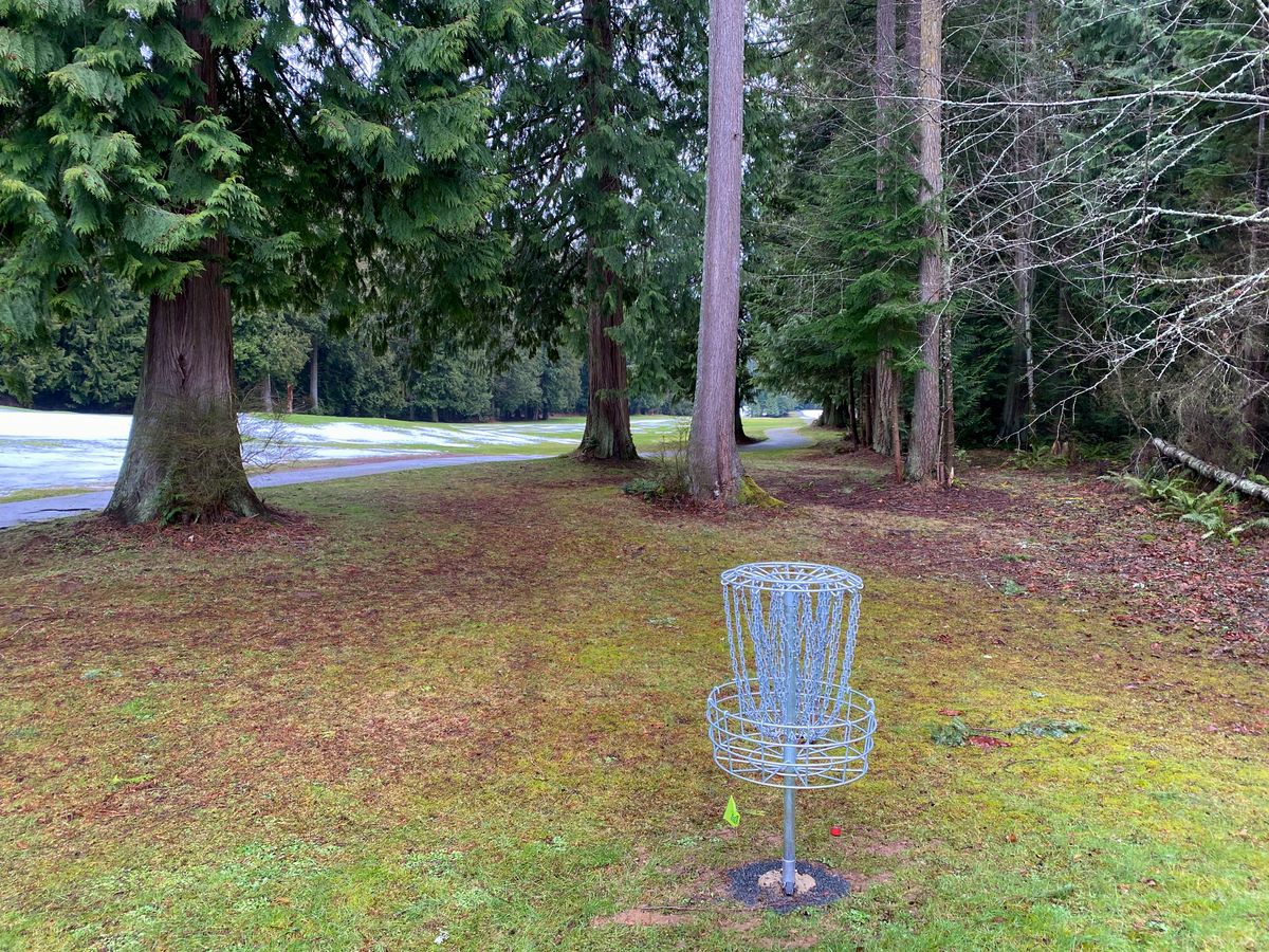 Hole 15 ‘Iris’ green