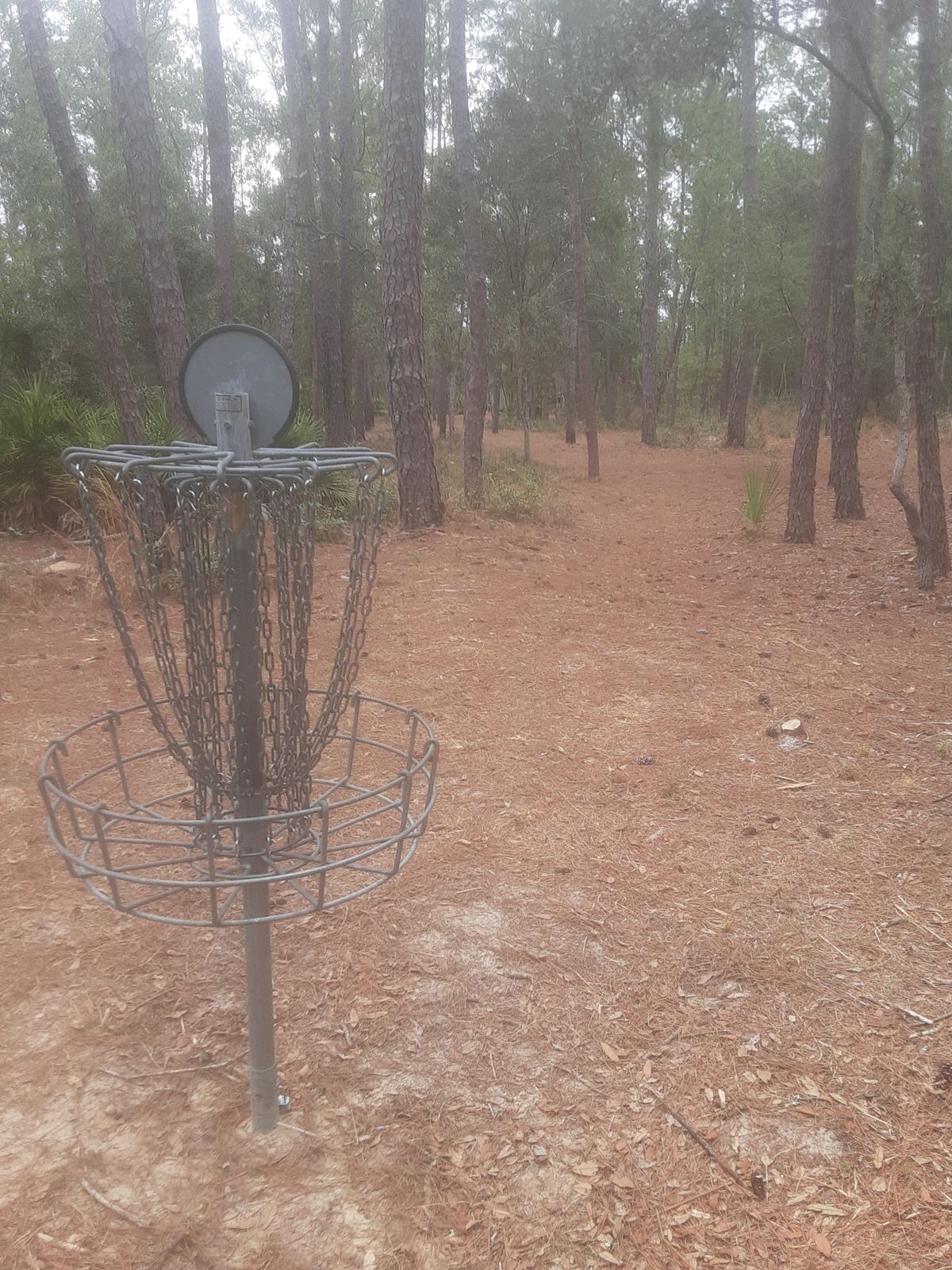 1 long basket looking towards tees