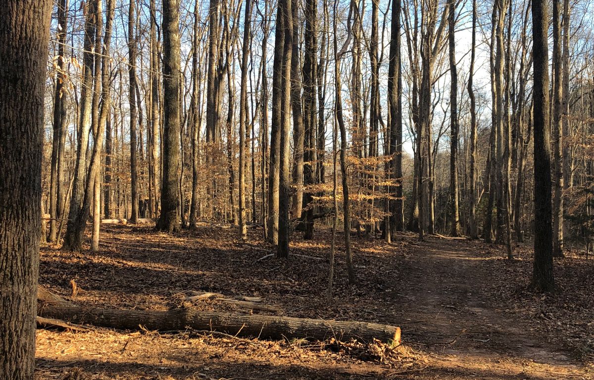 Hole 7 Approach, pick a side
