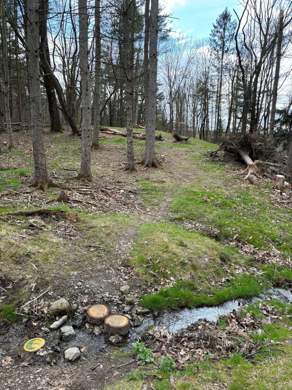 Hole 6 way greener post storm