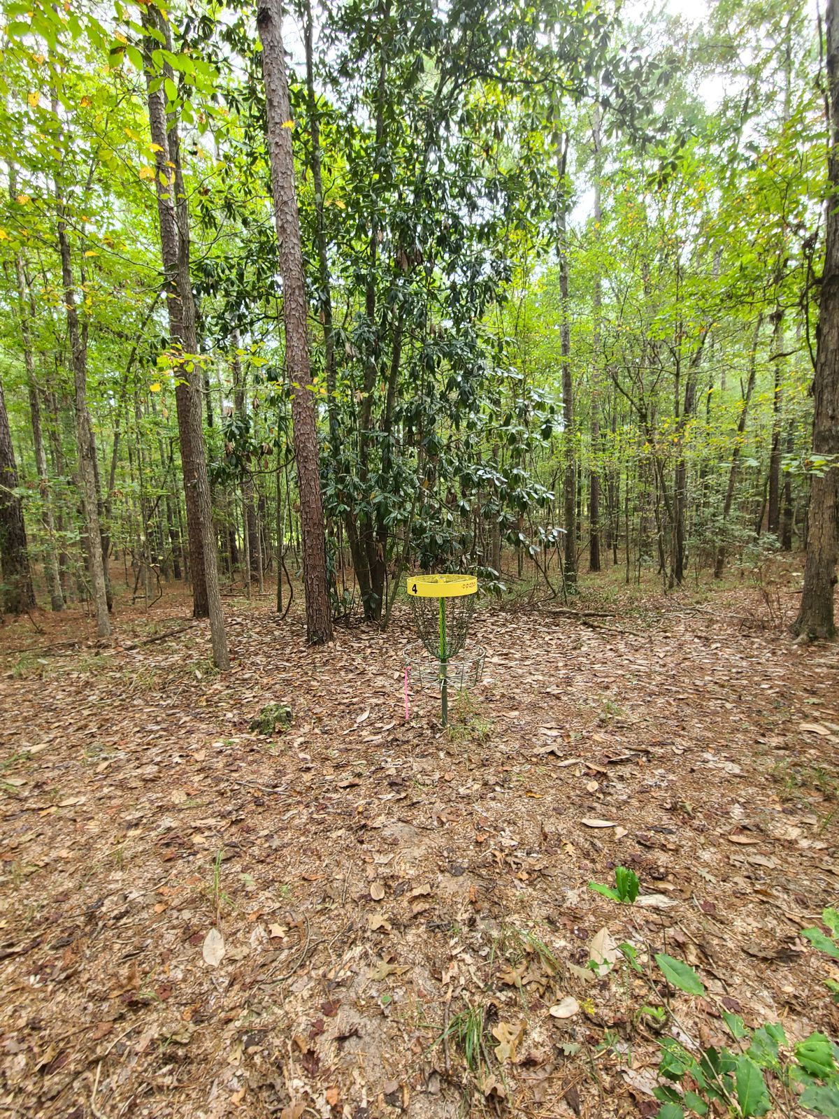 Hole 4