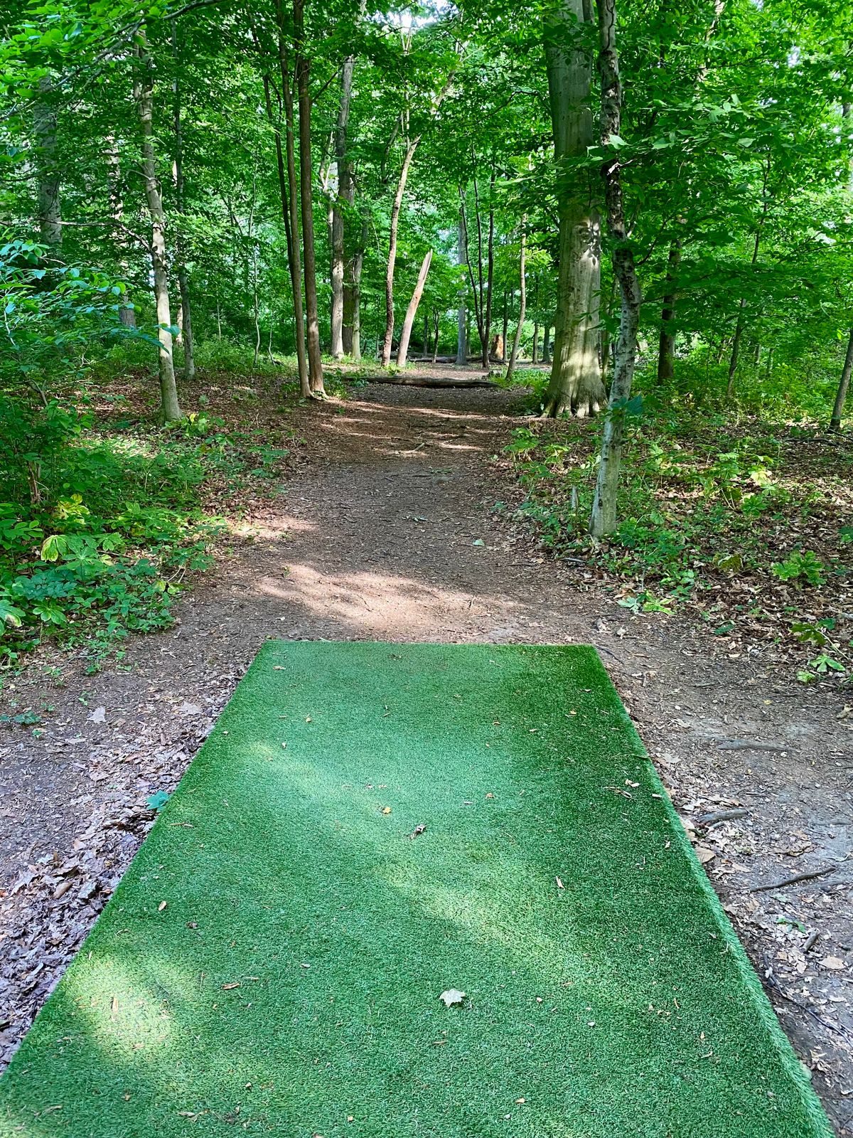 Hole 11