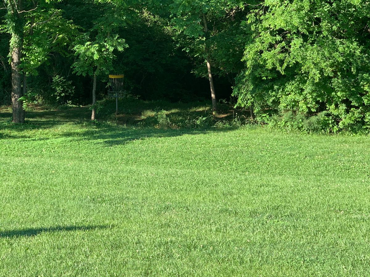 Hole 11