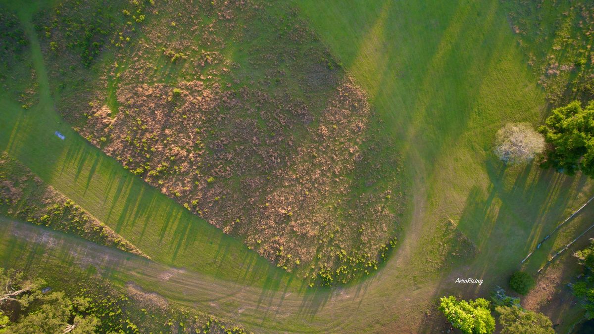 Open Fairways Galore!

@AeroRising on Instagram