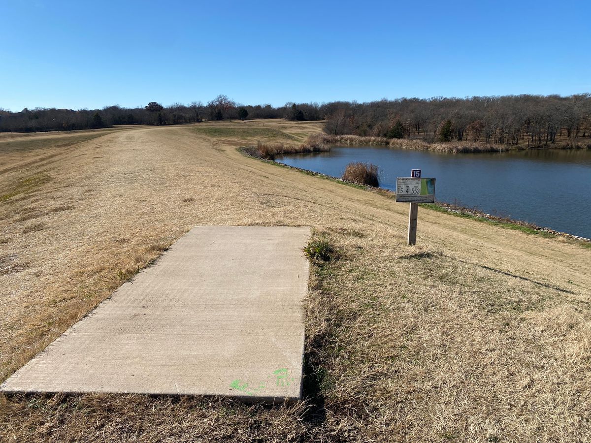 #15 tee