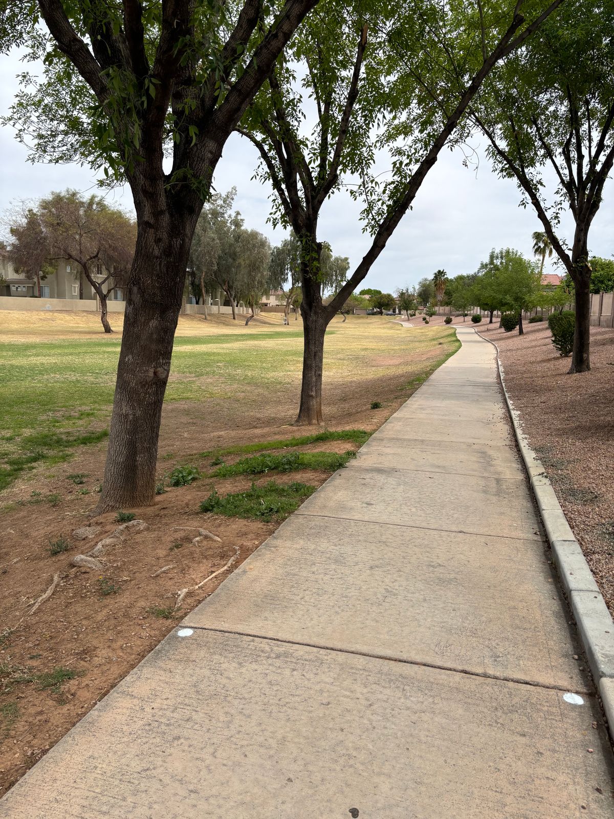 Hole 6- No Mando. Sidewalk & beyond OB. Concrete wall & beyond OB