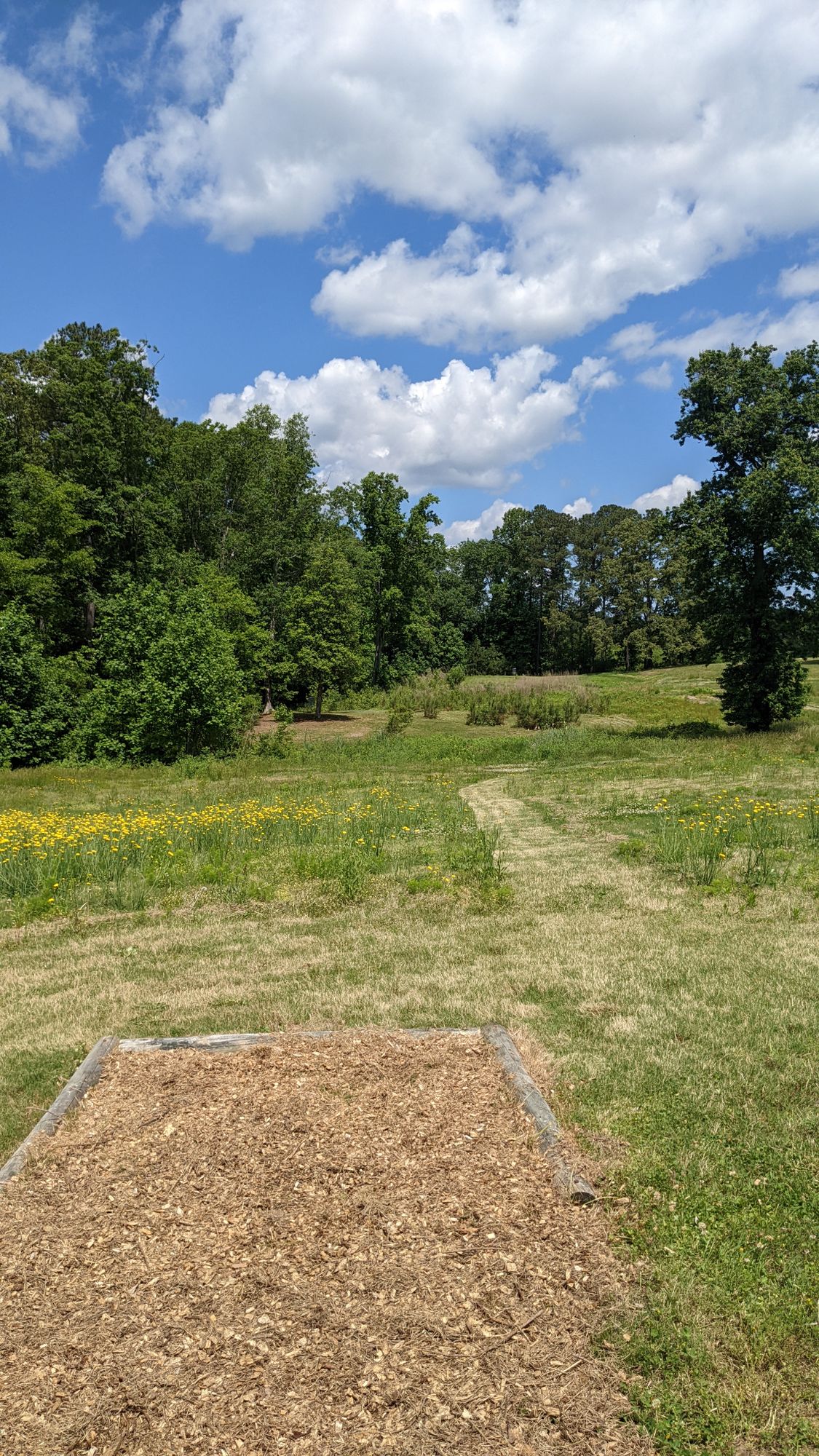 #17 downhill fairway