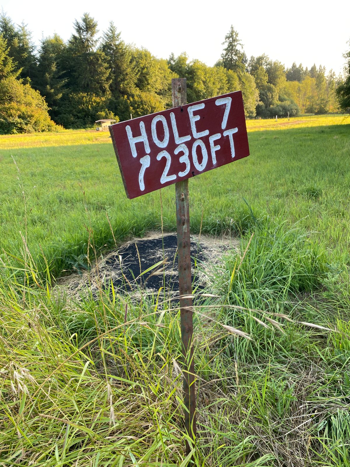 A sample of tee signs and pads. This is a blind shot to a basket shoved in the woods with no fairway
