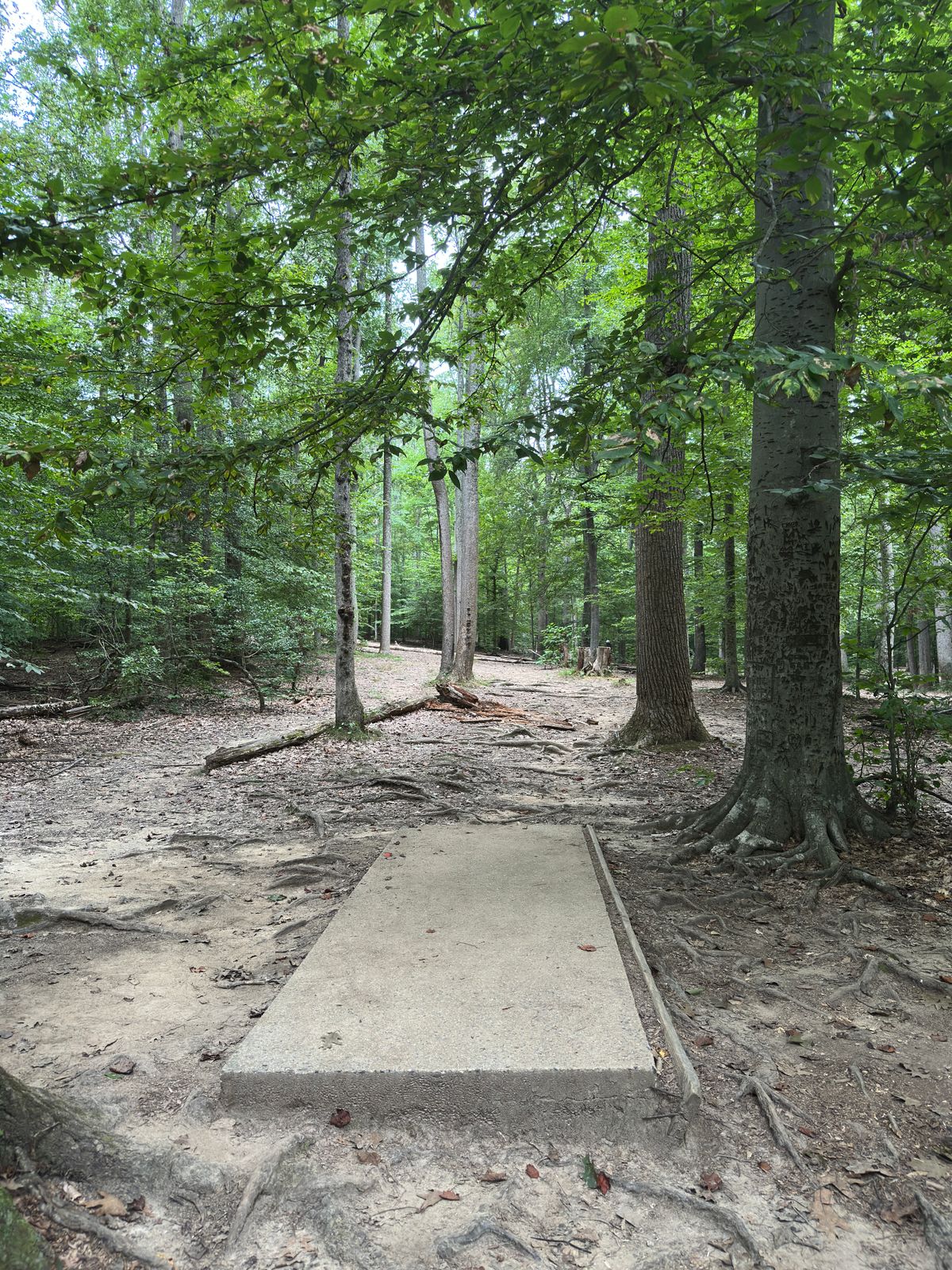Hole 15 red tee