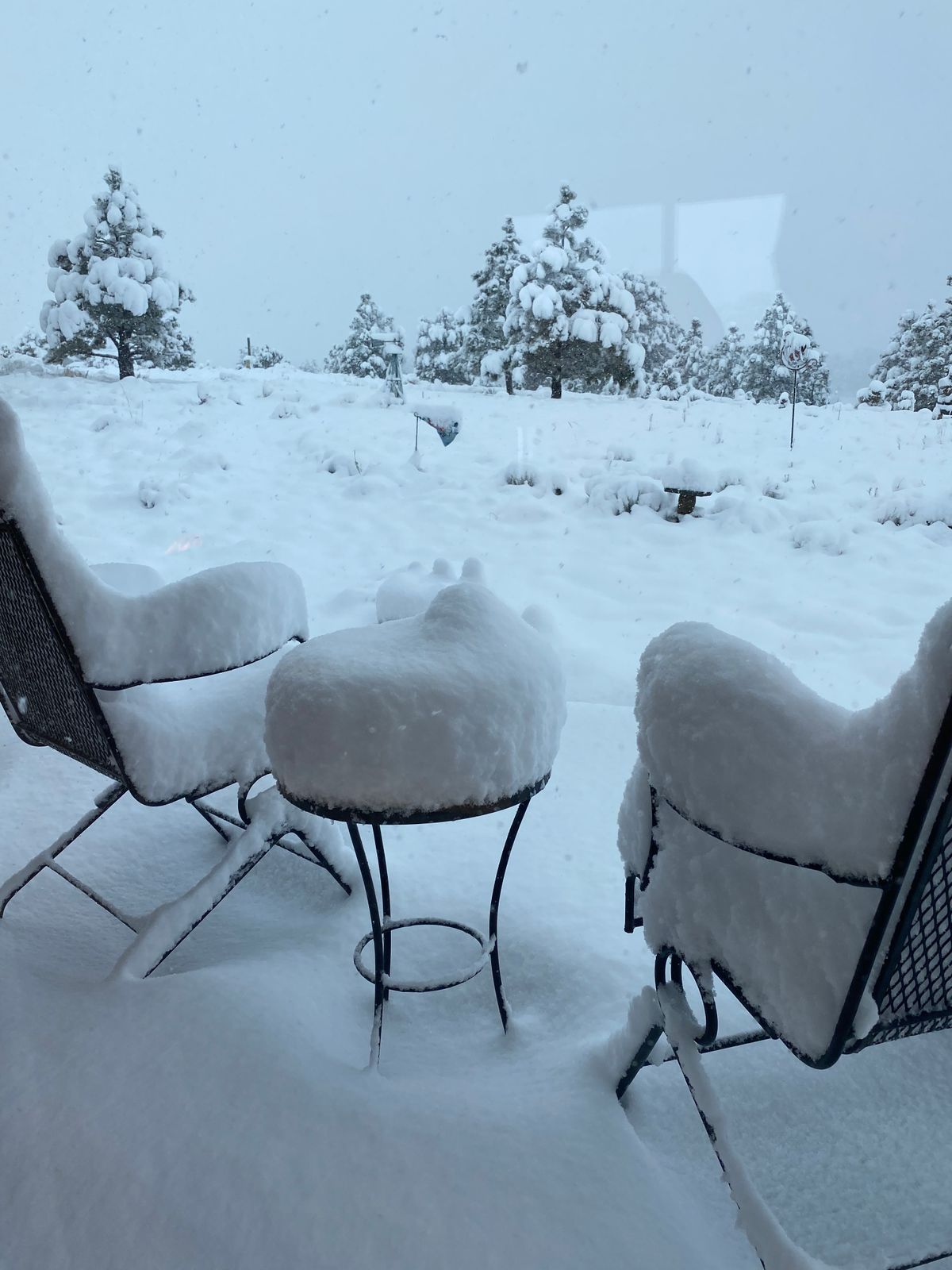 Winter, March 2022.