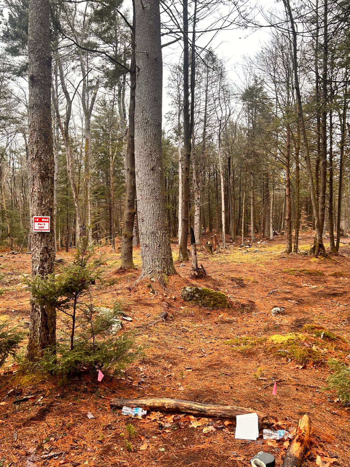 Hole 2 - Red Tee’s New Signs