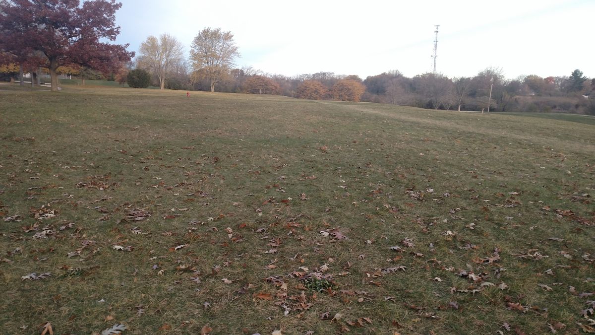 Hole #2 Tee