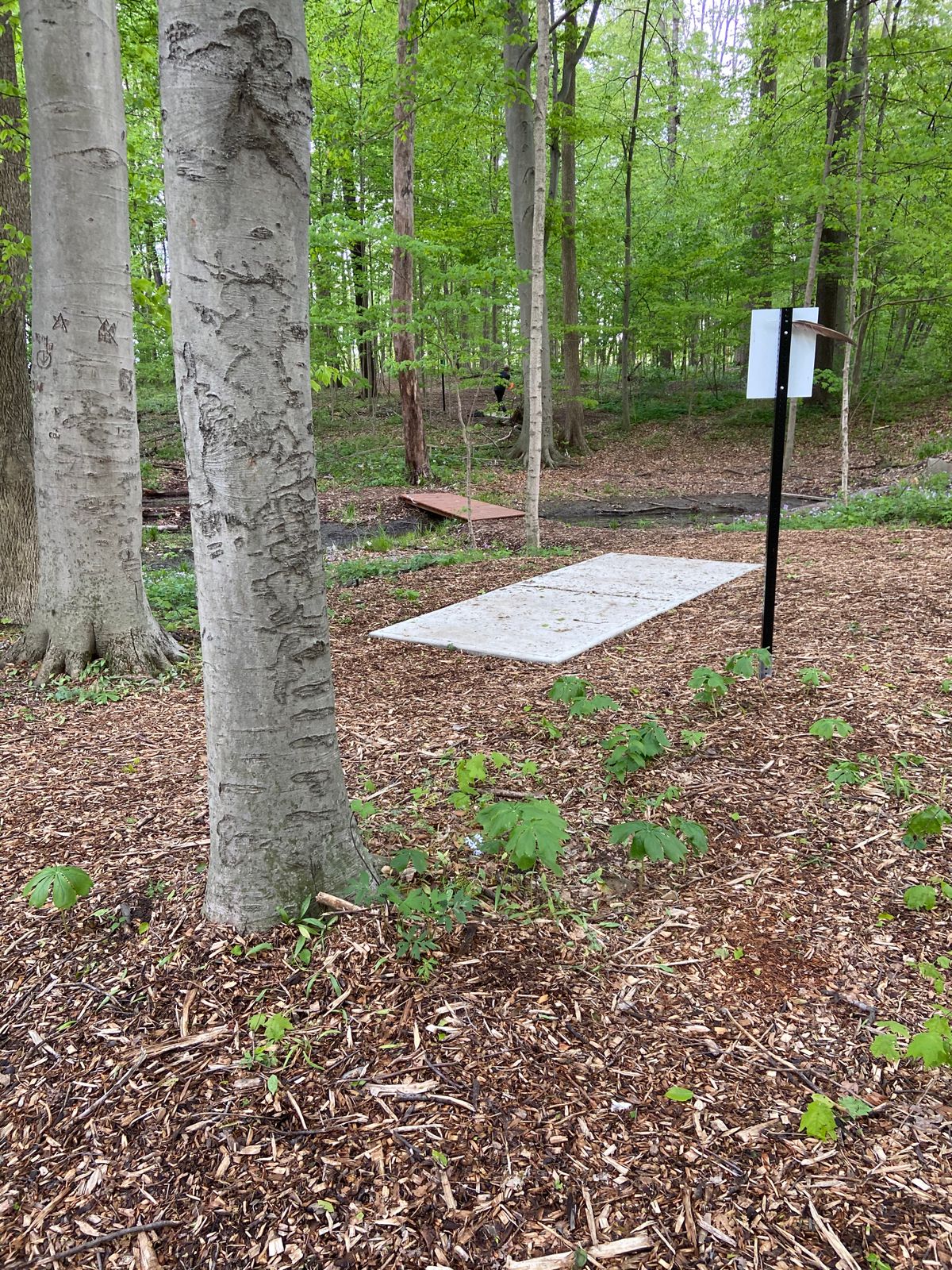 Bridge to 12thTee