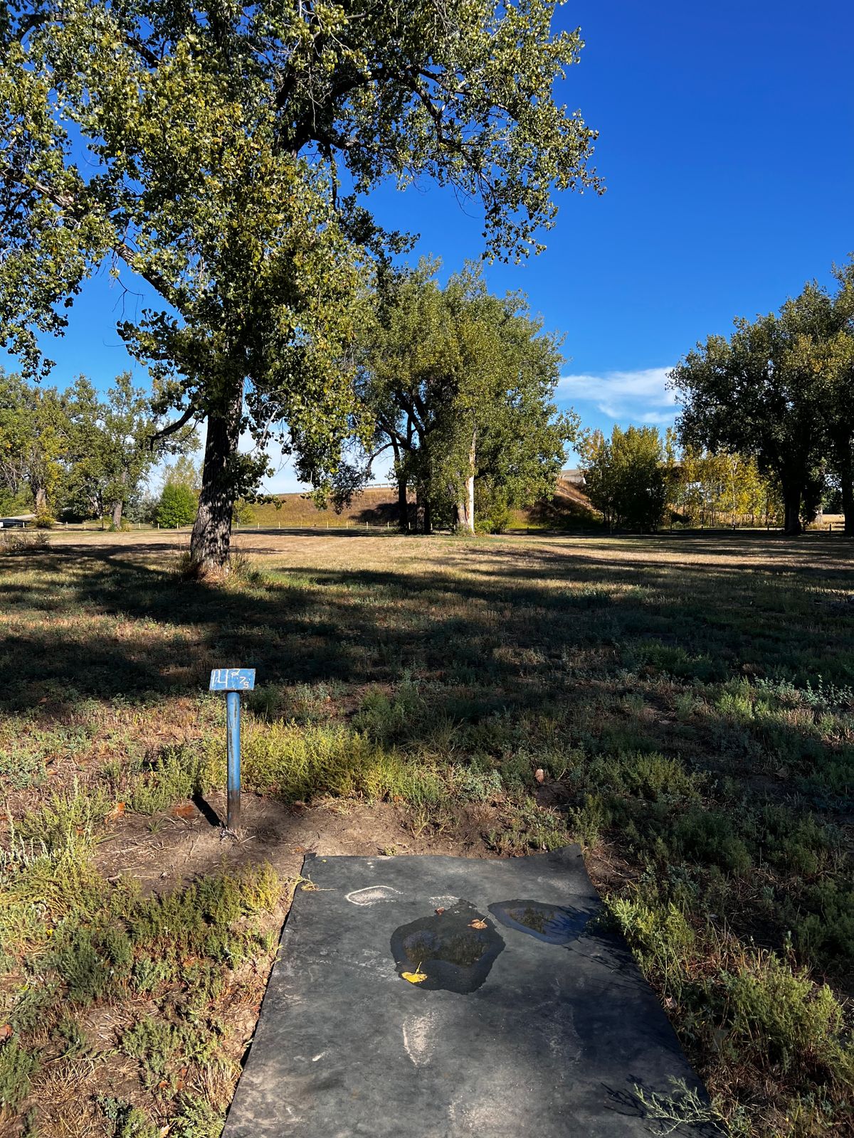 Tee 14