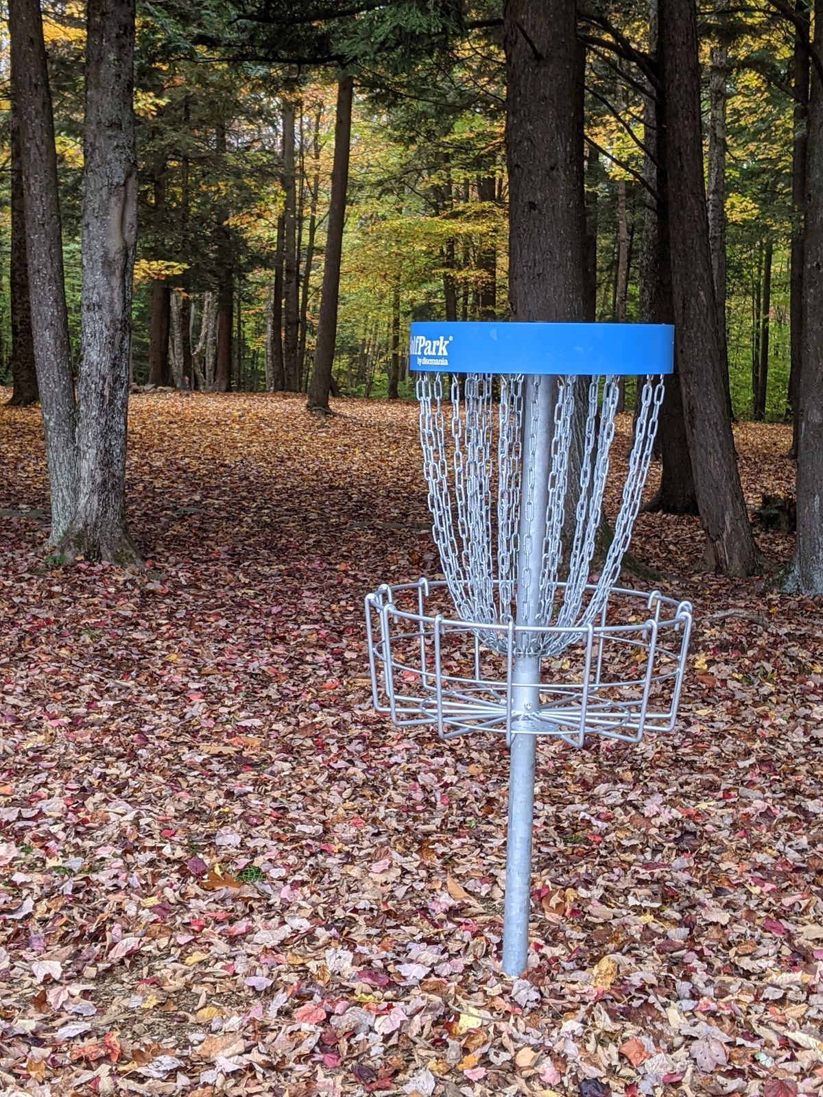 21 New Disc Golf Park baskets