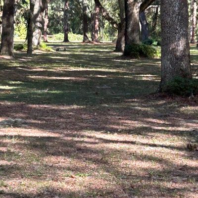 #9 Fairway