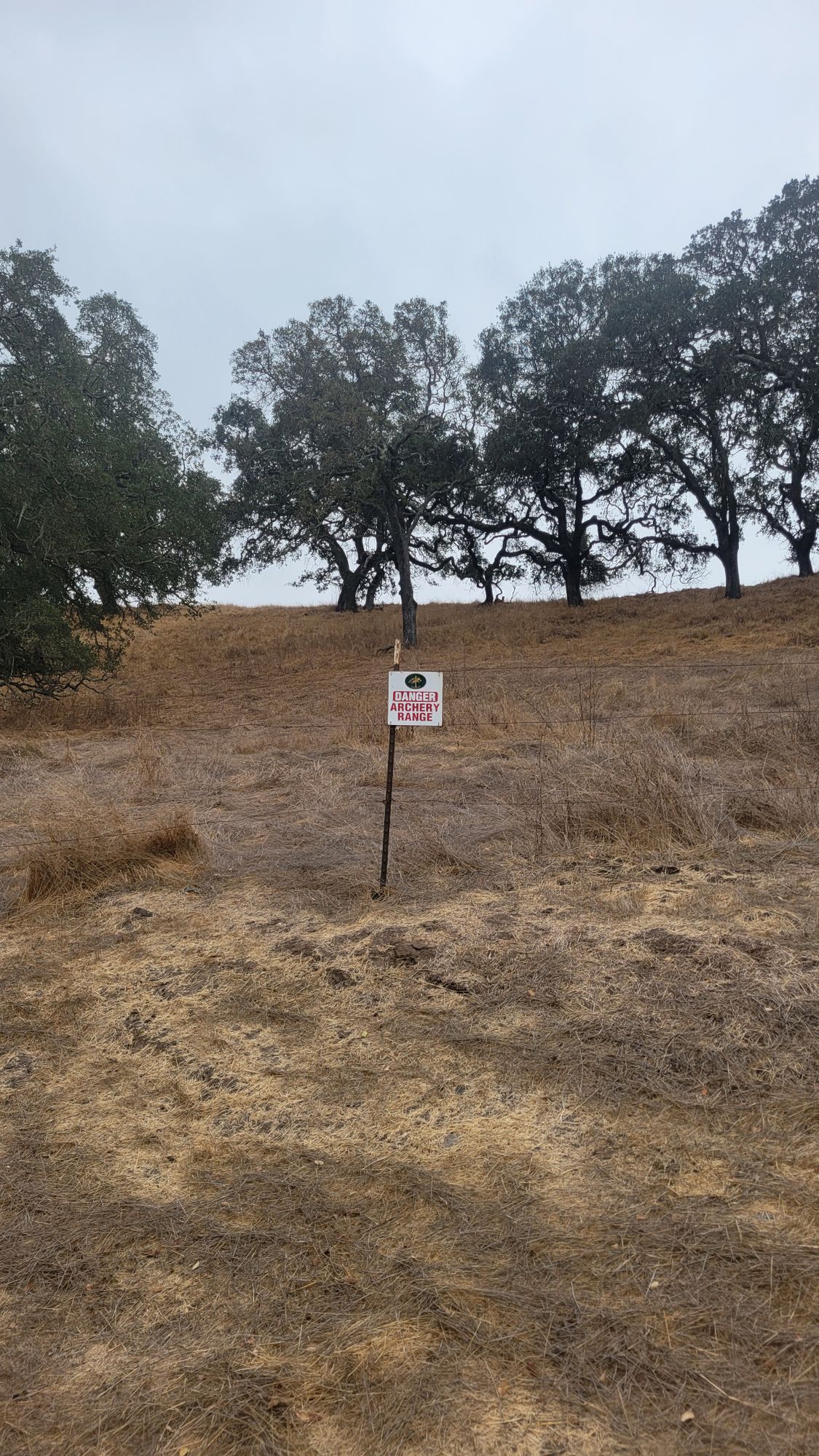 Beware of more than just flying discs