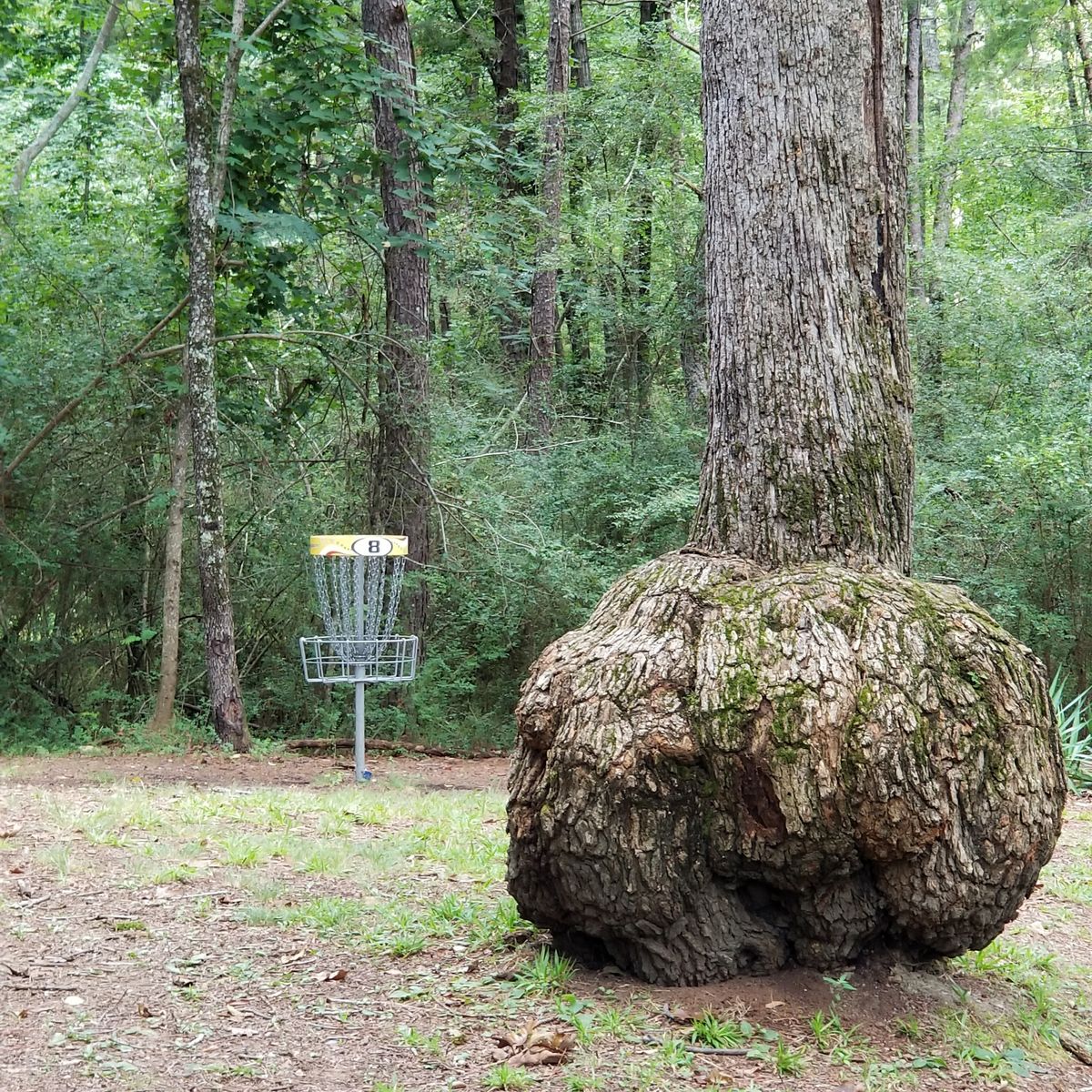 #8 "B" pin placement
