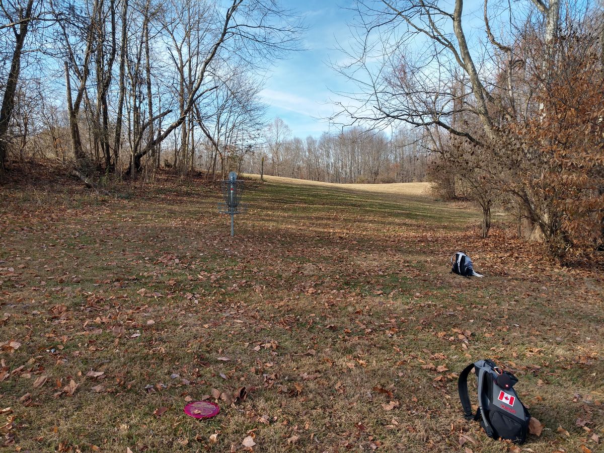 #15 green