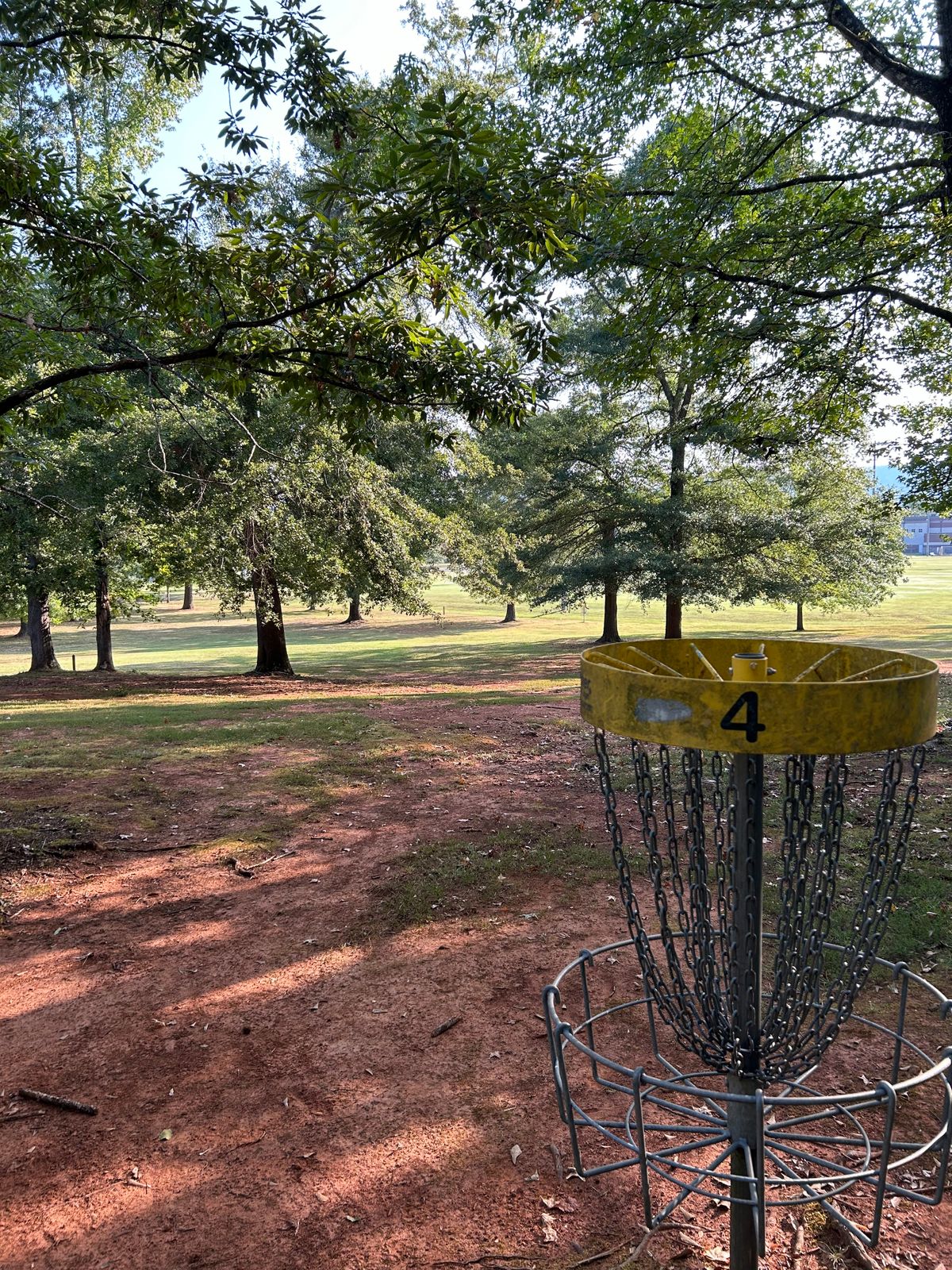 Hole 4 Basket