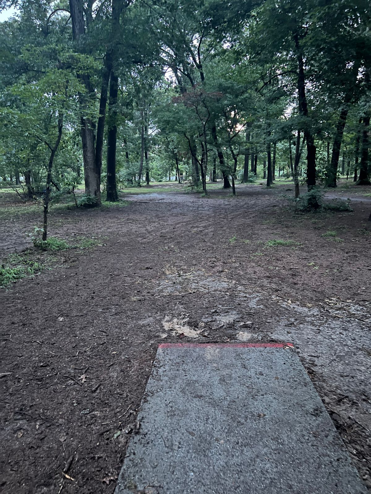 Hole 4